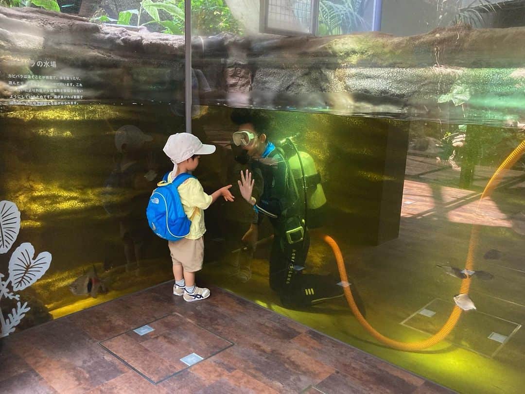 中山美香のインスタグラム：「興味津々☺︎ 掃除している様子をじっと見学していた我が子に対し、 優しく応えてくださったスタッフさん🥹 ありがとうございました！ . . . #水族館 #カワスイ #川崎水族館 #aquarium @kawasui_aqua」