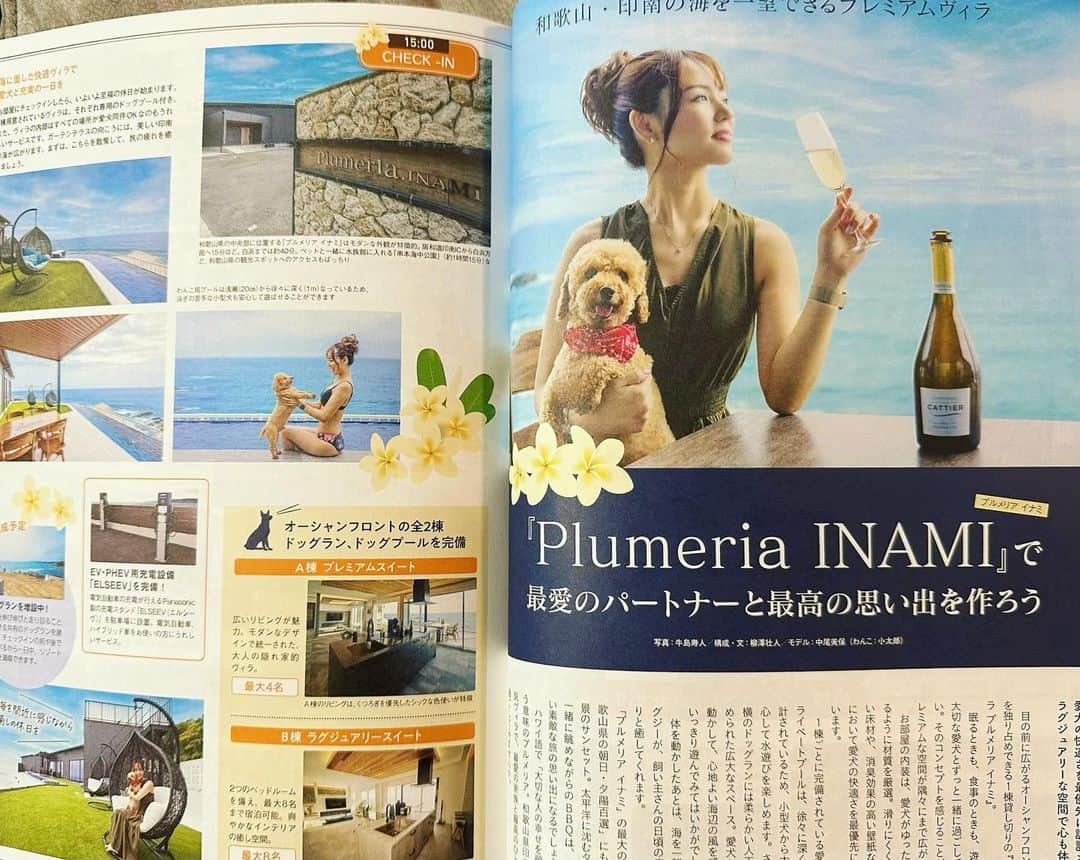 中尾みほさんのインスタグラム写真 - (中尾みほInstagram)「・ わんことトキメキ旅行23~24 最新版が販売開始🐶🩷 ・ こちらの雑誌は75施設で使えるクーポン付き‼️ ・ ・ 私と小太郎とプルメリア様のページは 18ページからです🥰 @dog_villa_plumeria  ・ 私がプロデュースしている 無添加おやつCOCOも 掲載されています🐕🩷 @cocodog.18  ・ 8月はもぅ予約がいっぱいです！ 10.11月は比較的予約がとりやすいので オススメですよー！🐶🍉 ・ ・ ・ #わんちゃんと　#和歌山　#印南 #ジャクジー　#プール　#高級宿 #素敵すぎ　#映え　#トイプードル　 #トイプ　#わんことトキメキ旅行  #撮影　#中尾みほ　#雑誌　#クーポン #jacuzzi #jacuzzitime #pool #family  #japan #dog #kansai #wakayama」7月25日 21時40分 - mihochan18