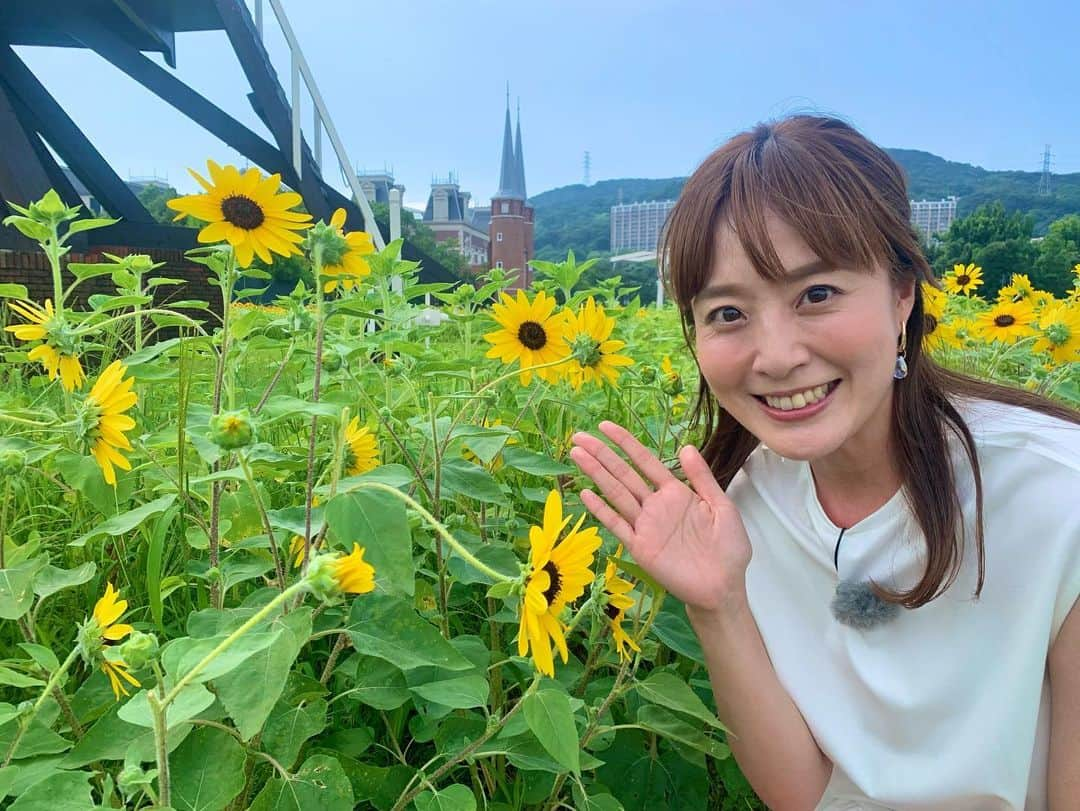 たけるさんのインスタグラム写真 - (たけるInstagram)「夏のハウステンボスを満喫🌻・ ・ 約四万本のひまわりは見ているだけで元気をもらえます。・ ・ 異国情緒溢れる川のほとりでチェロとアコーディオンの生演奏を聴きながら、シャンパンと美味しい料理を堪能🤤・ ・ 夜は無数のランタンとプロジェクションマッピングによる、この時期にしか味わえない幻想的なイベントも。・ ・ 今回は入れなかったけど、ナイトプールも楽しそうだったな〜🥺・ ・ ・ とにかく満たされました。オンエア是非ご覧下さいませ👍・ ・ ・ #長崎 #佐世保 #ハウステンボス  #みみよりサタデイ #TVQ #ロケ #谷上奈津美 さん #TAKERU #たける #不動たける #ボイジャー #ウルトラマン #エントリーサービスプロモーション」7月25日 21時41分 - take_yan78