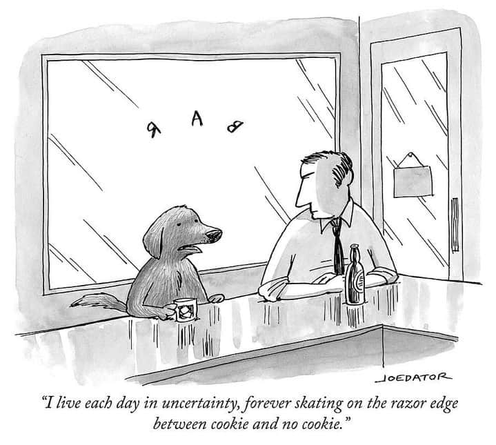 The New Yorkerさんのインスタグラム写真 - (The New YorkerInstagram)「Wow, same. #NewYorkerCartoons 🖋 @joedator」7月25日 22時00分 - newyorkermag