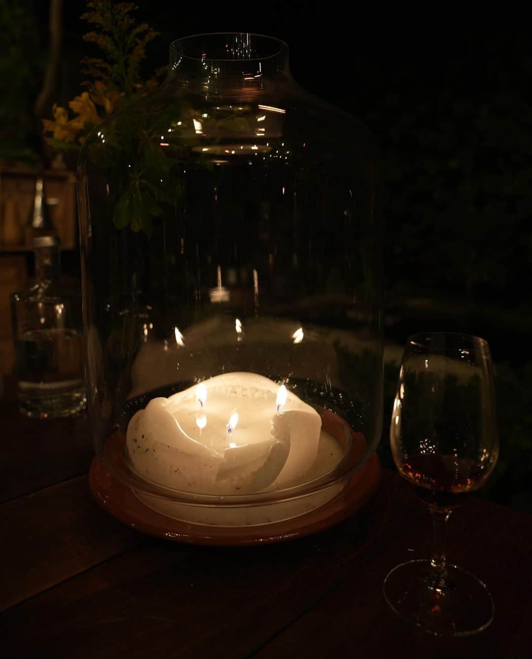 矢野未希子さんのインスタグラム写真 - (矢野未希子Instagram)「. ディナーはホテルでBBQとワインのペアリング🍷 2枚目のオープンキッチンを目の前にBBQの臨場感を 楽しむことが出来てご飯もさらに美味しい😋  新居のお庭にはこんな感じのツルの葉っぱで 木影の場所をつくろうと盛り上がりました🌳 旅行は新居のインスピレーションもたくさん湧く🫧 ６.7枚目のアップルパイとポートワインの相性最高🍷」7月25日 22時25分 - mikko1104