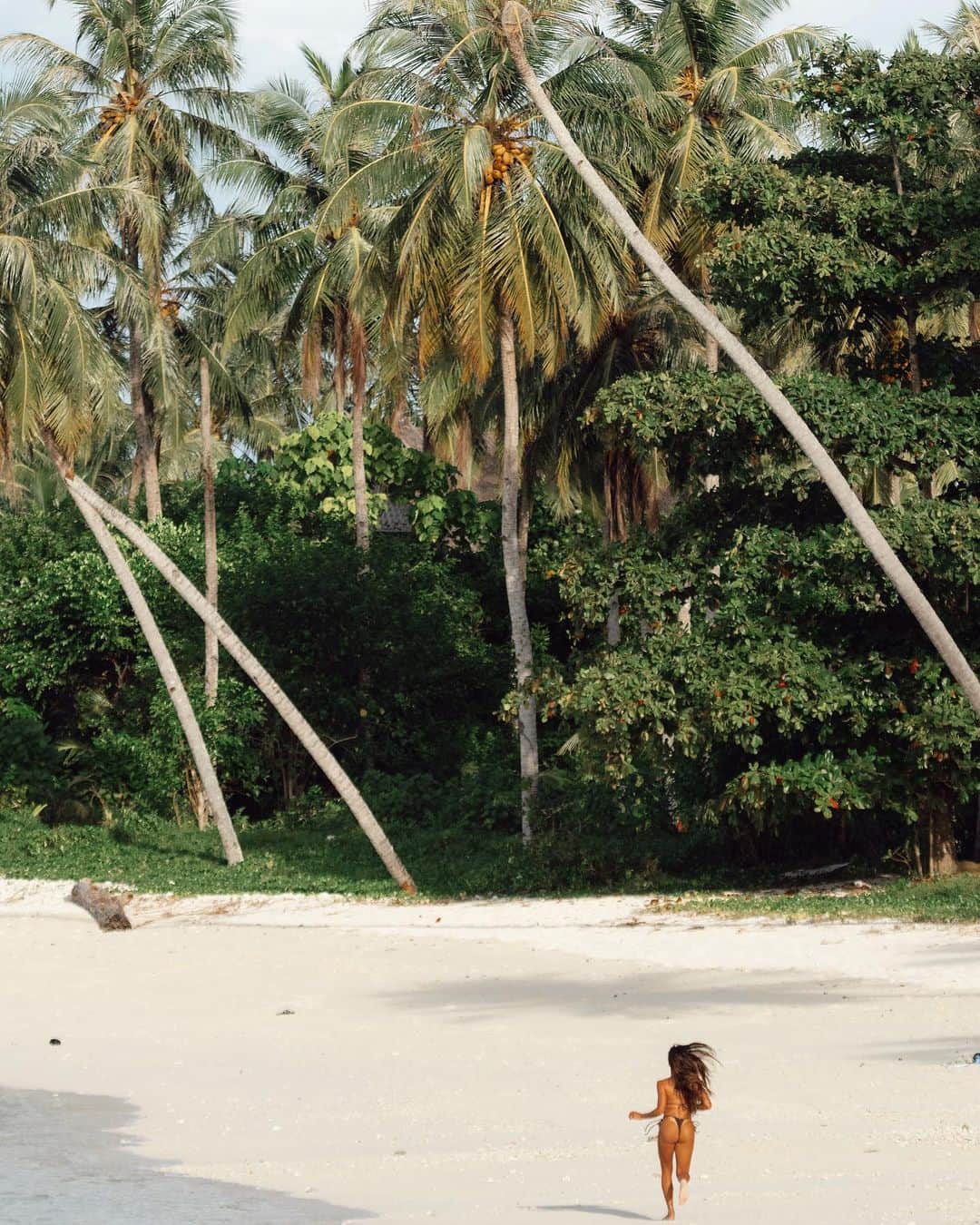 Rachel Apollonioのインスタグラム：「Ments 🌴🐚🌊   @belasulu_villas」