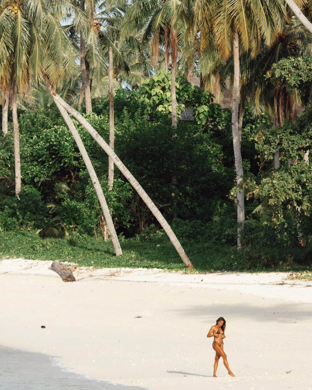 Rachel Apollonioさんのインスタグラム写真 - (Rachel ApollonioInstagram)「Ments 🌴🐚🌊   @belasulu_villas」7月26日 9時22分 - rachelapollonio