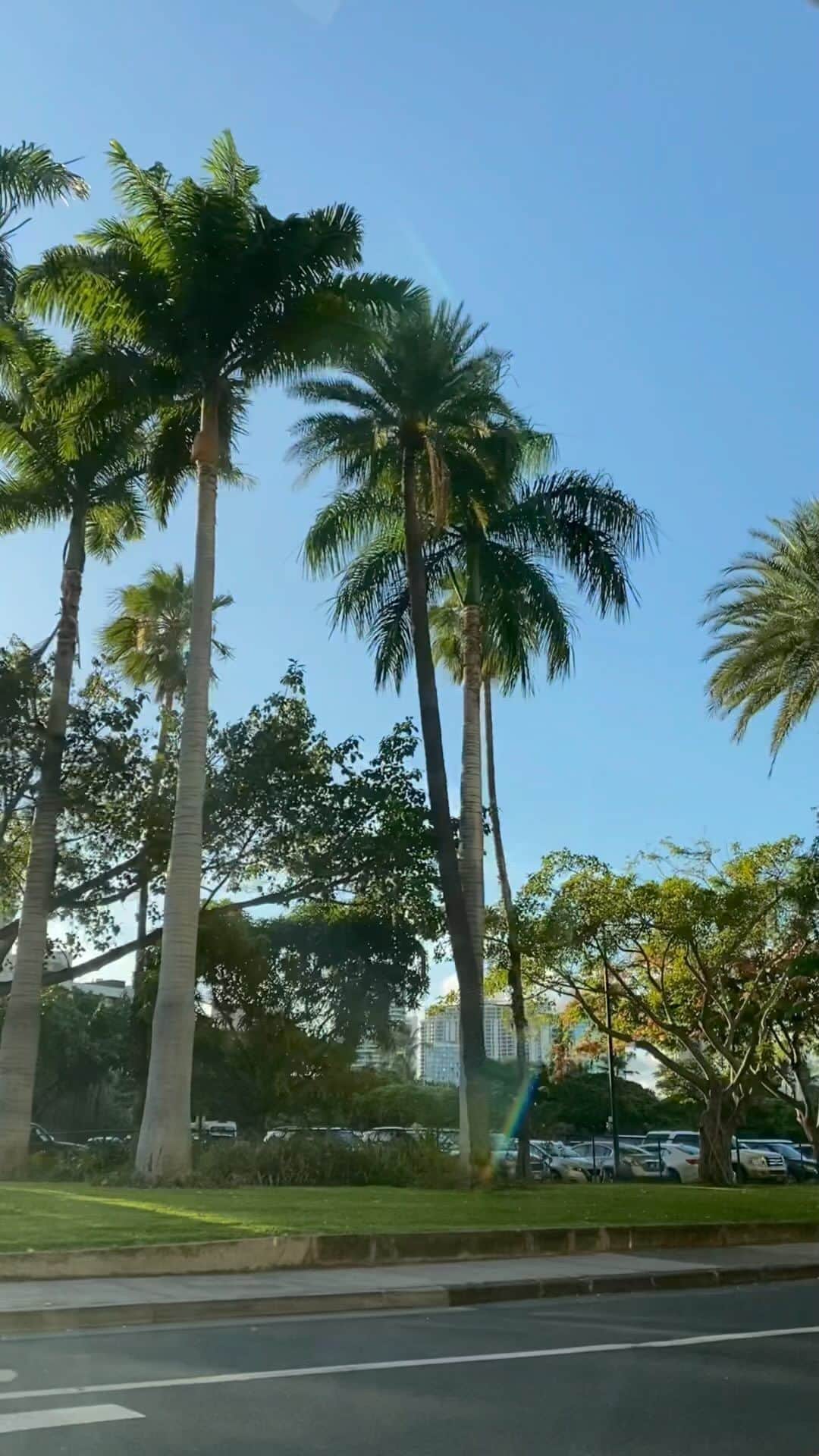 青木育日のインスタグラム：「. ⁡ 思い出リール🌴 ⁡ ⁡ 『明日戻りたい〜🥺』と言ってる子がいるので👦🏽 また行けるように頑張る❤️‍🔥 ⁡ ⁡ ⁡ #vlog #子連れ旅行#4歳男の子#男の子ママ ⁡#夏休み#summervacation #海外旅行」