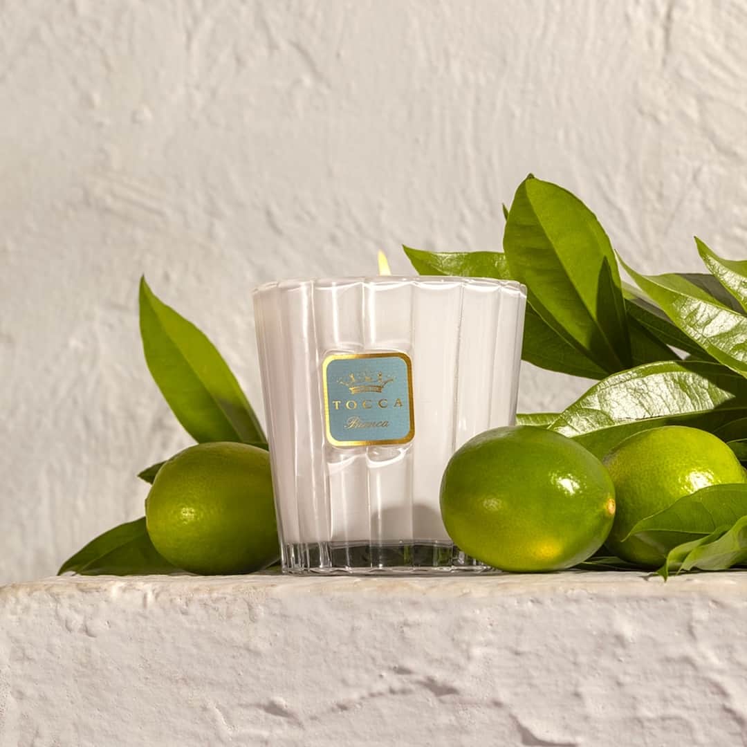 トッカのインスタグラム：「Uniquely beautiful and richly fragranced, our classic Bianca candle personifies la dolce vita with notes of green tea, lemon and sugar.⁠ ⁠ It’s the perfect accessory for your home. ⁠ ⁠ #TOCCA #LoveYourself⁠ _⁠ #TOCCAbeauty #TOCCAperfume #TOCCAFragrance #TOCCABianca #fragrance #eaudeparfum #perfume #perfumenotes #pretty #perfumery #finefragrance #timelessbeauty #european #handcraftedbeauty #adventure #beauty #candle #relax #unwind #selfcare #selfcareday #home #homefragrance #bianca」
