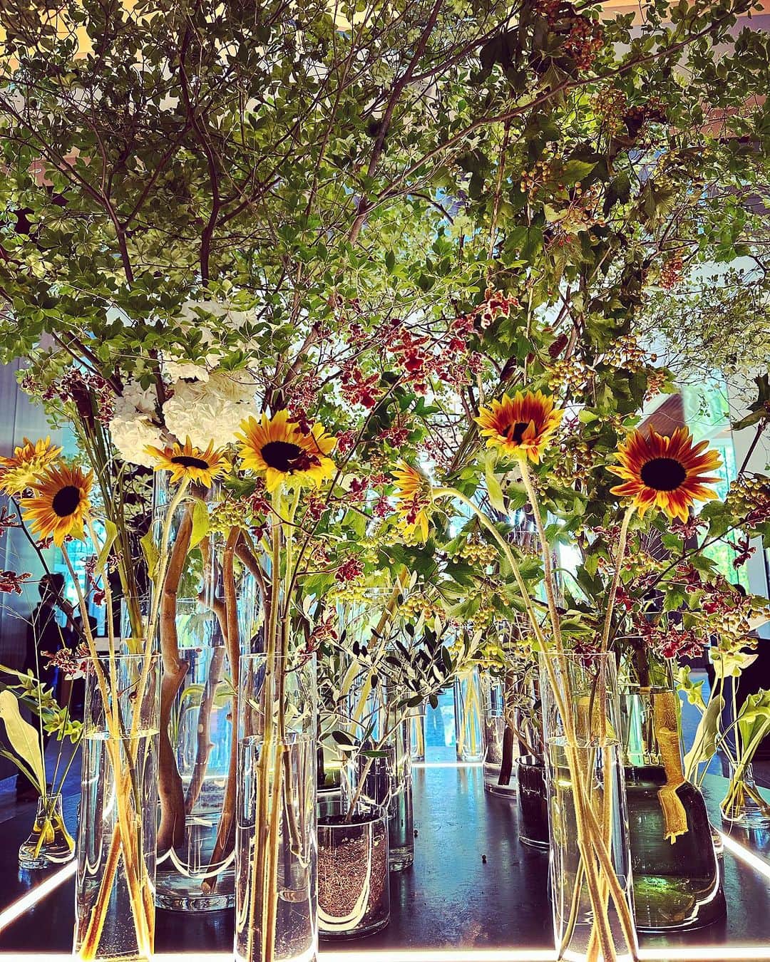 長谷川夕希子さんのインスタグラム写真 - (長谷川夕希子Instagram)「#sunflower  #ひまわり #パレスホテル東京」7月26日 2時16分 - yukikogabby