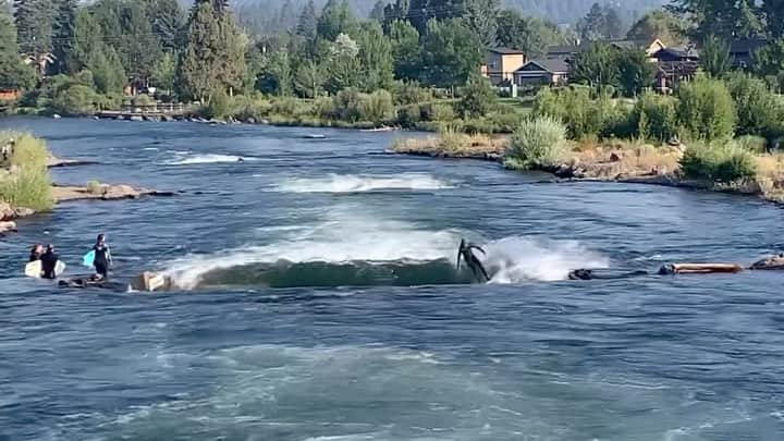 surflineのインスタグラム：「Surf is where you find it. Mr. Pipeline aka @gerrylopezsurfboards ripping a river wave in Bend, Oregon.」