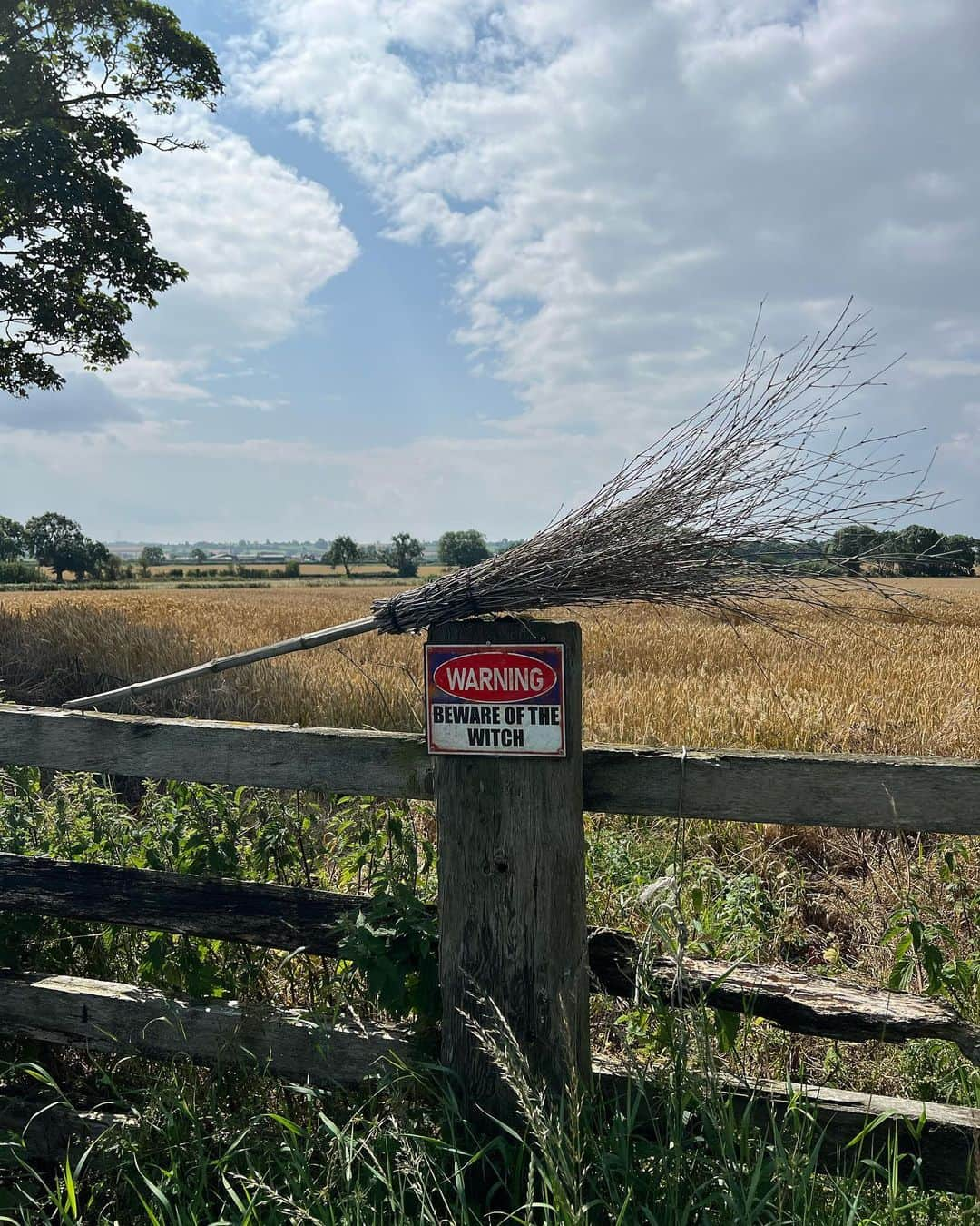 マリオン・コティヤールさんのインスタグラム写真 - (マリオン・コティヤールInstagram)「Viva England! #hiking」7月26日 2時12分 - marioncotillard