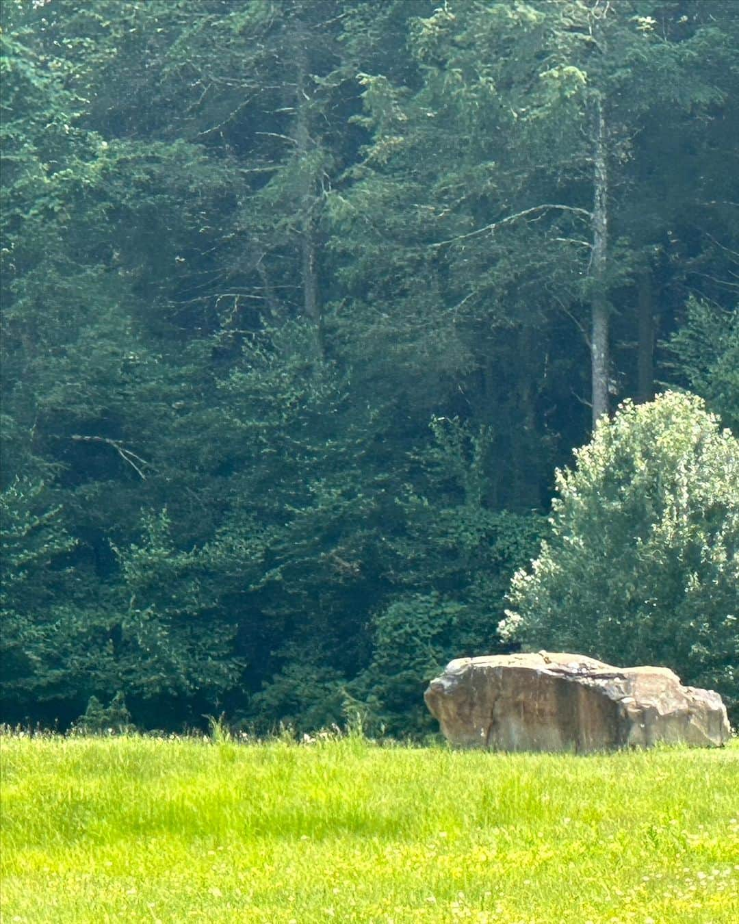 ロバート・パトリックさんのインスタグラム写真 - (ロバート・パトリックInstagram)「Sacred ground. Flight 93 Crash National Memorial. A profound monument to the heroic efforts of 40 crew and passengers who overpowered the terrorist who hijacked the flight with intention of inflicting more death and destruction on our nation, by heading for the White House or Capital building. It is now a beautiful tribute to those souls. Definitely worth the effort when in Pennsylvania! @santaclaritaharley @harleydavidson @glendaleharley @hdmuseum @flight93_nps #ride #america #heroes #sacrifice」7月26日 2時57分 - ripfighter