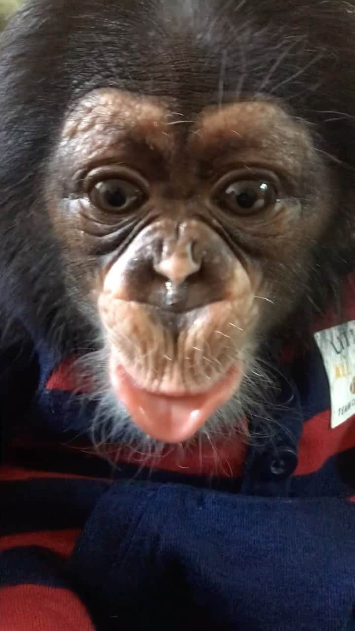 Zoological Wildlife Foundationのインスタグラム
