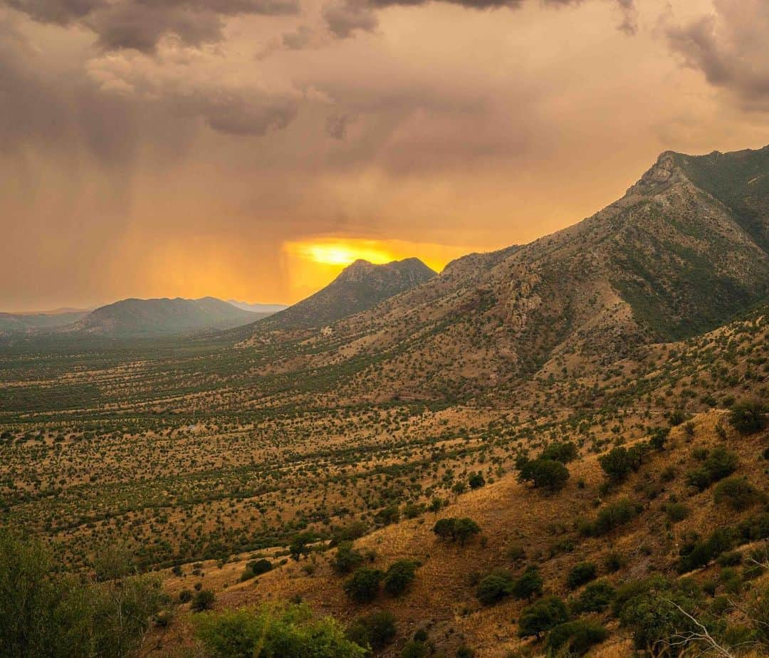 アメリカ内務省さんのインスタグラム写真 - (アメリカ内務省Instagram)「Monsoon season is here! Smell the rain-soaked dirt, watch plants and flowers come back to life and observe just how much these crucial rains change the landscape.   If you are planning a trip during monsoon season, knowing how to prepare and what to look for is important for a safe and enjoyable adventure.    Here are some tips to keep you safe from flash floods:   💧 Become familiar with your surroundings   💧 Have a plan. Where's the nearest high ground?   💧 Check the weather forecast   💧 Stop by the visitor center for up-to-date info   💧 Watch for changing weather and a buildup of clouds   Photo at @coronado_nps by park volunteer Ron Stewart   #publiclands #planlikeaparkranger #recreateresponsibly   Alt Text: A monsoon sunset with dark gray clouds and dark pouring rain.」7月26日 5時25分 - usinterior