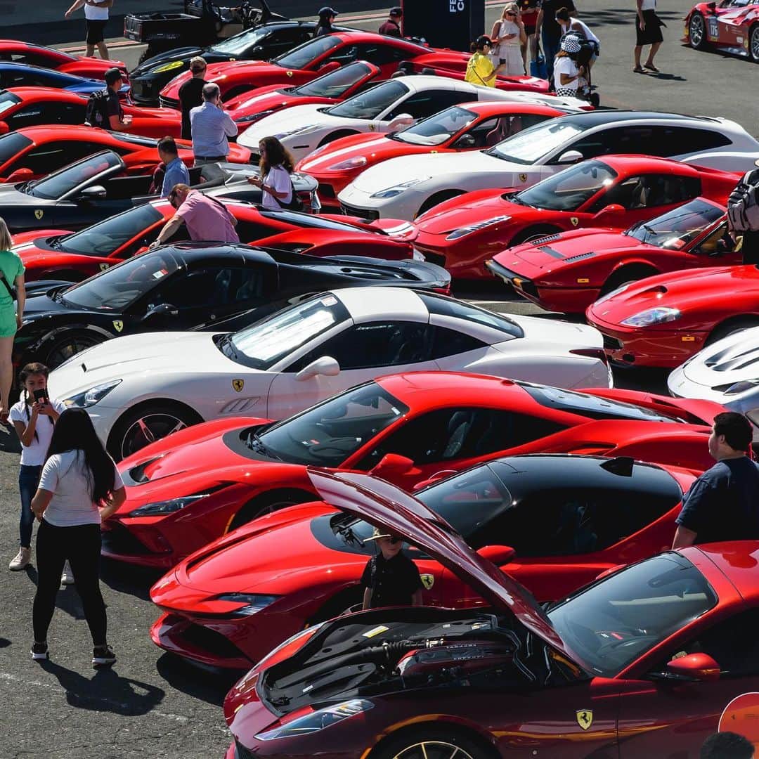 Ferrari USAさんのインスタグラム写真 - (Ferrari USAInstagram)「A gorgeous assortment of Ferraris spotted at this weekend’s Sonoma event. #Ferrari」7月26日 6時02分 - ferrariusa