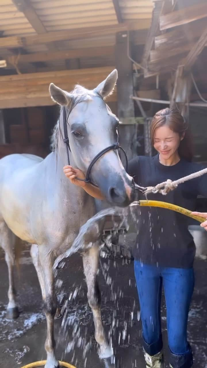 fukishaljのインスタグラム：「My day off 🐴☀️🚿  夏は早起きして朝活☀️ 動物たちは足も素足だから暑さを感じやすいから気をつけないと🫶🏻 動物たちも人間も熱中症には気をつけようね！  シャワー苦手なグラッチェも頑張ったよ〜☺️🩵」