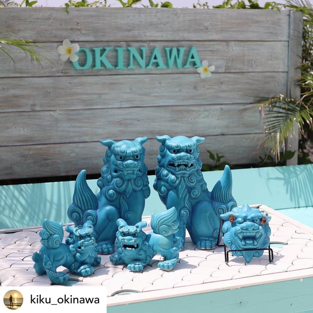 Tomoyo Umezawaさんのインスタグラム写真 - (Tomoyo UmezawaInstagram)「Posted @kiku_okinawa 🦍 現在40件近く予約いただいてる 大人気の琉球ブルーシーサ一！！  職人さんが一つ一つ丁寧に手作りで作っているため、 入荷数が限られておりまして、 今の時点で1ヶ月、長いと2ヶ月お待ちいただいてる状況です！  はじめは、自分たちのお店の幸せを呼ぶシンボルとしてお店に置いていたのですが、  このシーサーはどこで買えるんですか？という 問い合わせが多く、 職人さんとお話しさせて頂き、 販売させて頂けるようになりました！  飲食店オーナーとして、 貴重な沖縄旅行の中の、 食事は、もちろんなのですが、 お家に帰った後も、 楽しかった思い出を琉球ブルーシーサーをみて思い出してもらい、毎日の活力にしてもらえたら！という想いがあります！  連日InstagramのDM、お電話、 店舗と 多方面からご予約頂いておりますので、 ご興味ある方はお早めのご予約を おすすめしております★  #シーサー#ブルーシーサー#プレゼント#琉球ブルー #お土産#沖縄土産#沖縄南部 #沖縄南部カフェ#沖縄カフェ#沖縄グルメ #海の見えるカフェ #ウミカジテラス#瀬長島#瀬長島ウミカジテラス #力フェ#沖縄旅行#沖縄 #青好き#青好きな人と繋がりたい #okinawamiyage #𝗆𝗄𝖼𝖺𝖿𝖾#𝗈𝗄𝗂𝗇𝖺𝗐𝖺 #𝗎𝗆𝗂𝗄𝖺𝗃𝗂𝗍𝖾𝗋𝗋𝖺𝖼𝖾」7月26日 17時49分 - _umetomo_