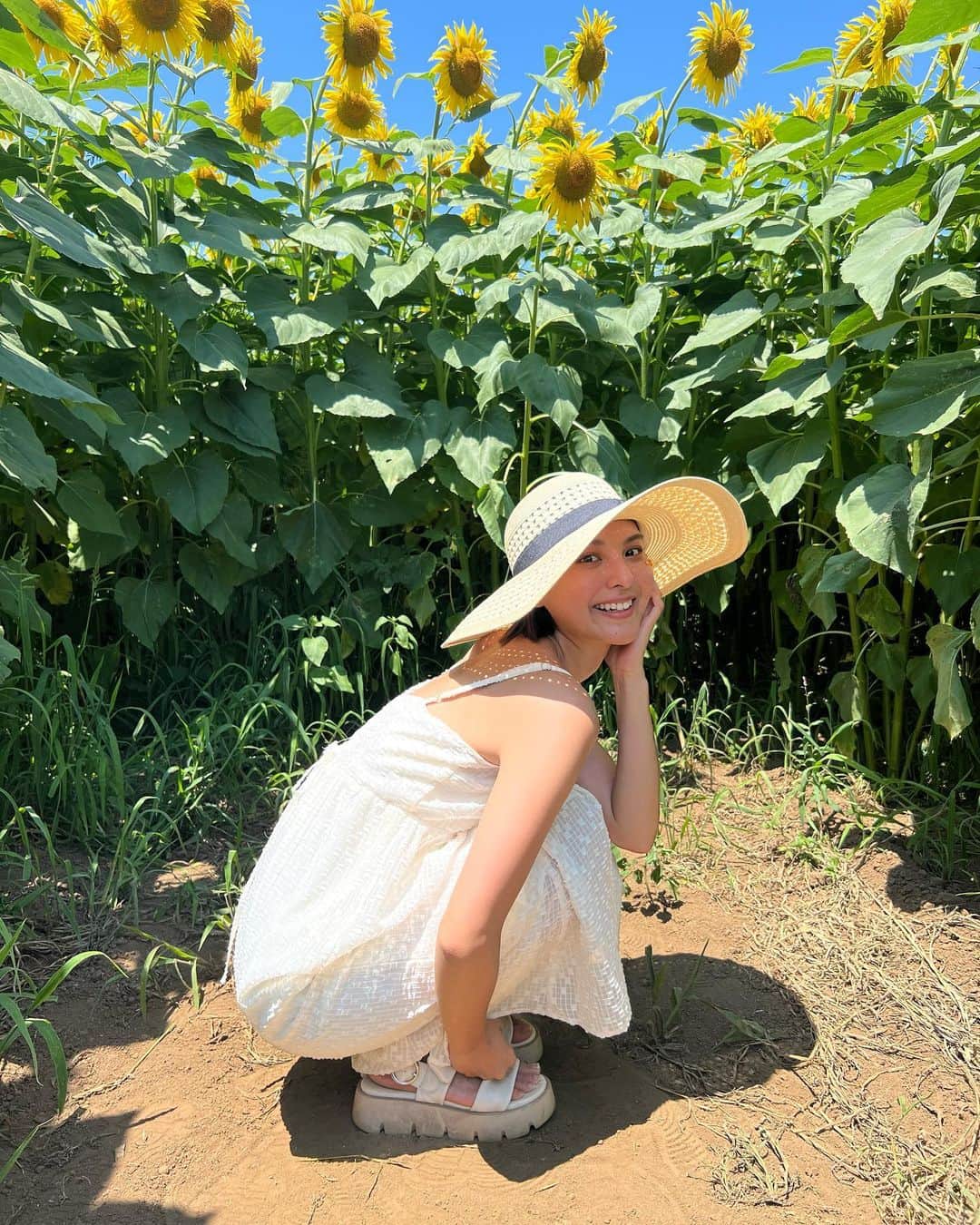 山口厚子さんのインスタグラム写真 - (山口厚子Instagram)「大好きなひまわり😆🌻🌻🌻 みんなのお気に入りの写真教えて😋  成田ゆめ牧場には背の高いひまわりと低いひまわりが約10万本あったよ〜🌻すご〜！！！ 7月中旬～8月下旬予定までやってるみたい😊  #千葉 #成田ゆめ牧場 #ひまわり畑 #ひまわり  #sunflower  #🌻」7月26日 18時31分 - atu_yaman