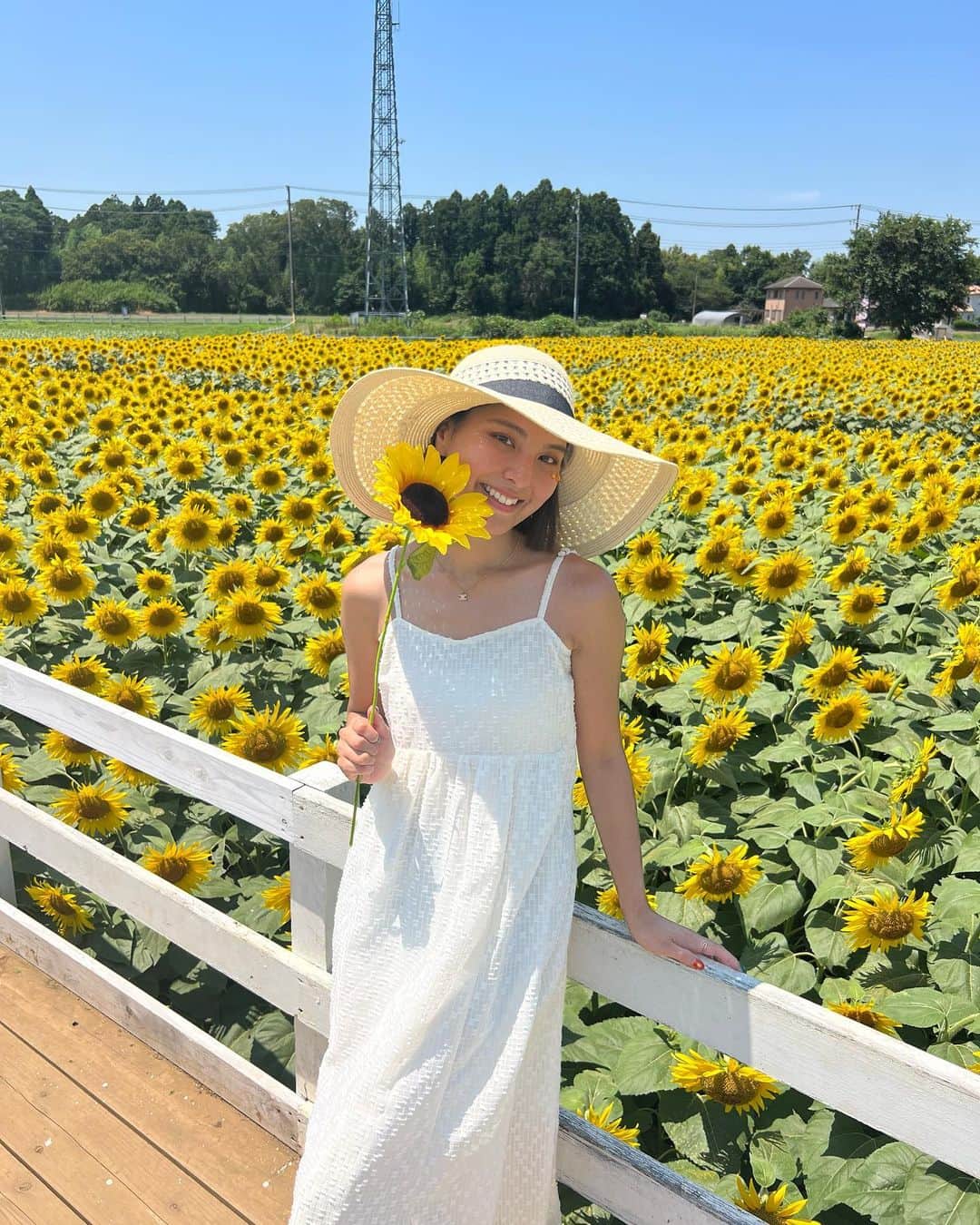 山口厚子のグルメインスタ