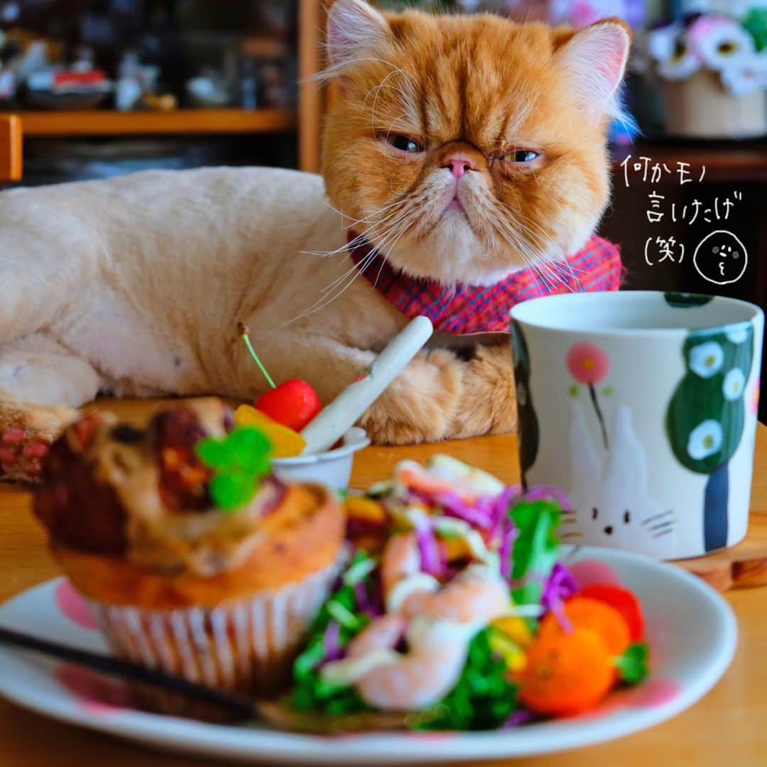 なっつ。のグルメインスタ