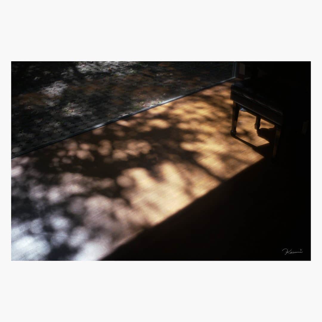 花澄のインスタグラム：「影。  Leica M10-P summilux 35mm f1.4 2nd  #leica#leicam10p#summilux#summilux35#summilux35mm2nd#oldlens#オールドレンズ#tokyo#japan#oldlens_tokyo#花澄#kazumiphotography」
