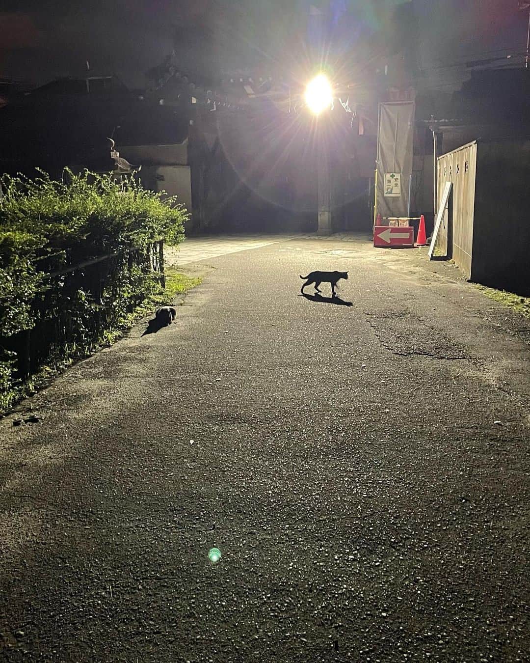 木村祐一のインスタグラム