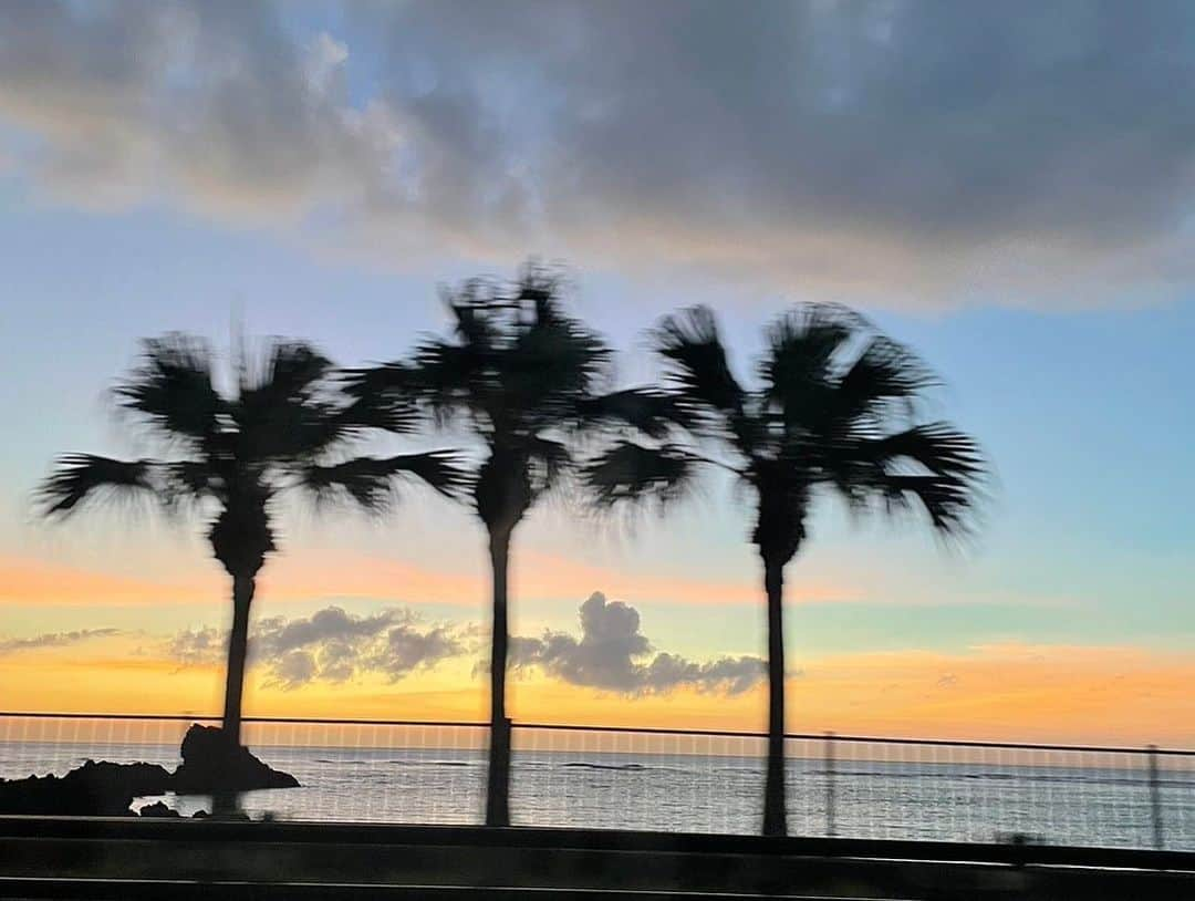 長野美郷さんのインスタグラム写真 - (長野美郷Instagram)「梅雨が明けて いよいよ夏！ ということで、夏っぽい写真🏝  沖縄で、最近 #古宇利島 が気に入ってます あまり人が多くなくて、海の眺めもよくて🥹  2枚目　そんな古宇利島の#ハートロック 🫶神秘的✨  あと テッパンだけど毎回会いに行ってしまう#ジンベエザメ と、 とても可愛かった葉っぱを食べる#マナティ 🥹 #ずーっと食べてる  夏って浮かれ気分なものかと思ってたけど なんだろう、 今年は身の危険を感じる…🥵  #沖縄 #美ら海水族館  #旅好き #みさ旅  #okinawa #churaumiaquarium」7月26日 13時01分 - misato_nagano_1127