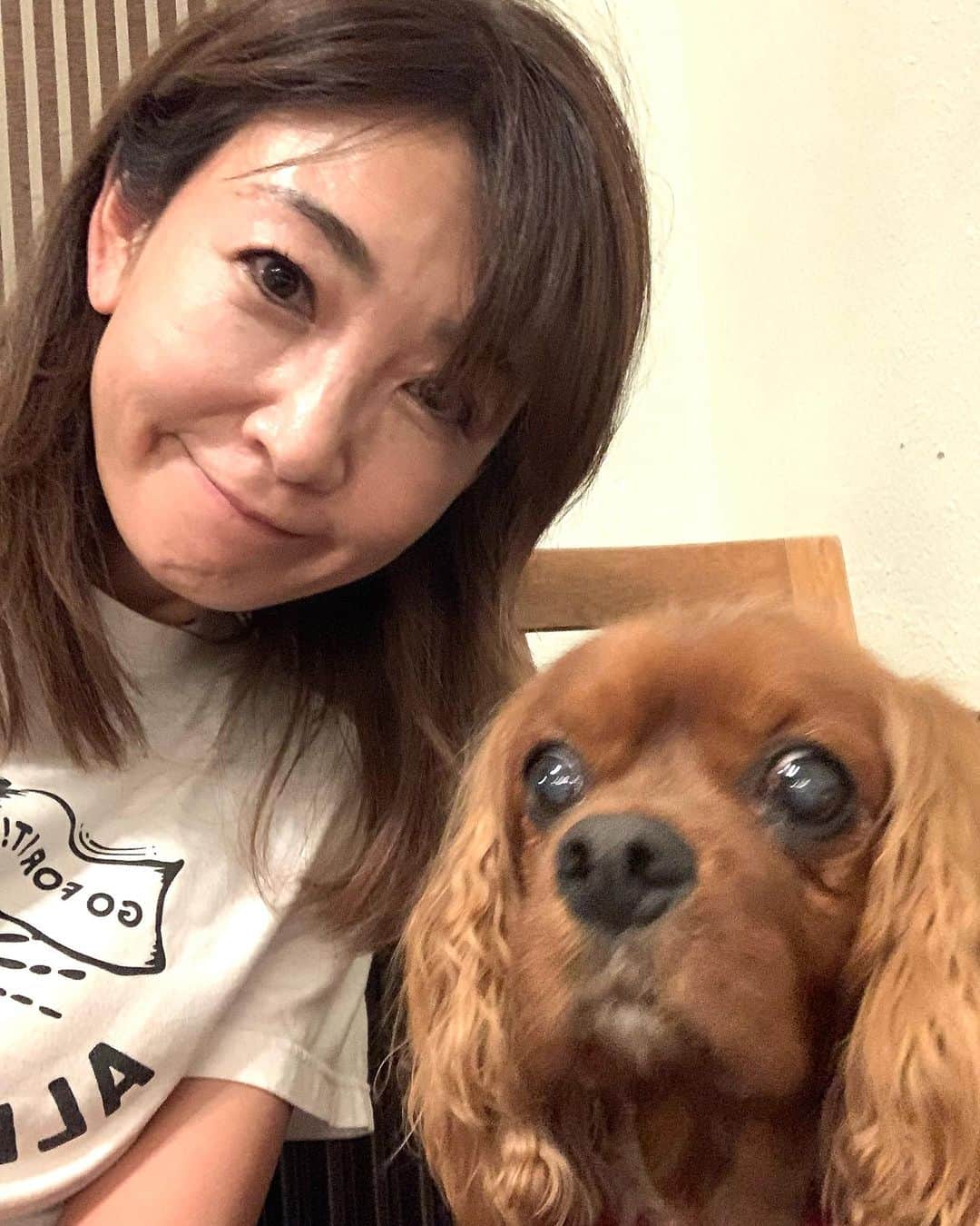 新・絶対的美少女、お貸しします。 コスプレは俺の嫁(全画像表示)