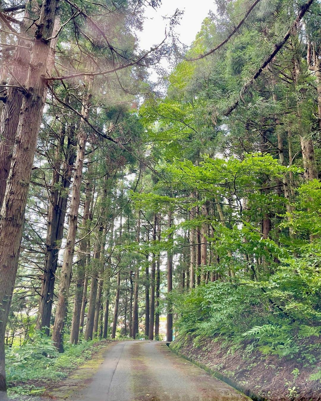 渡辺瑠海さんのインスタグラム写真 - (渡辺瑠海Instagram)「. 夏休みをいただき新潟に帰省しました🌾  久しぶりの生姜醤油らーめんが最高でした🍜  今日からまた頑張りますー！！  #夏休み」7月26日 14時05分 - rumi_watanabe_ex