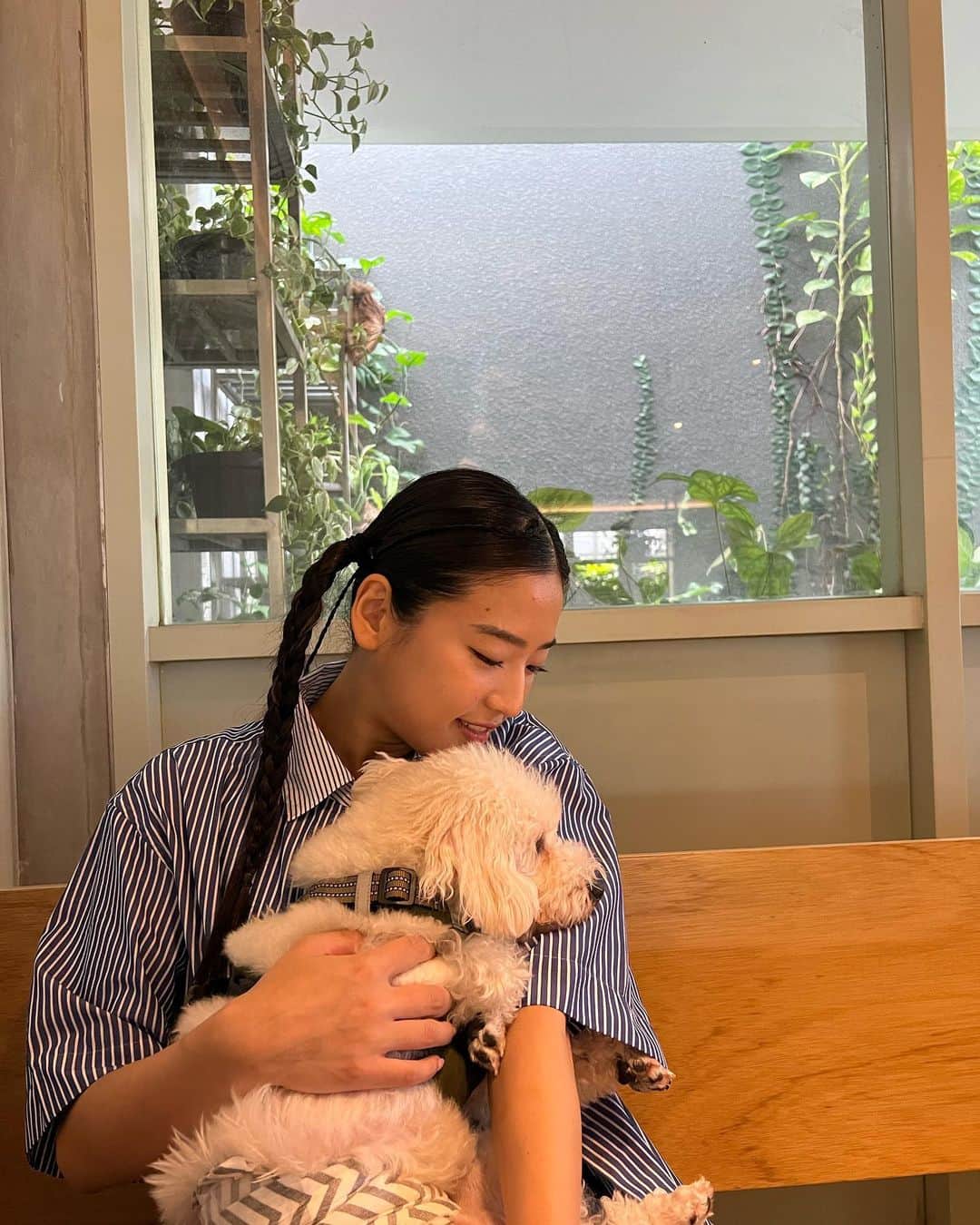 仲川遥香のインスタグラム：「Chum🤍  #indonesia #jakarta #cafe #dog #ジャカルタ生活 #犬スタグラム #犬のいる暮らし  #仲川遥香」