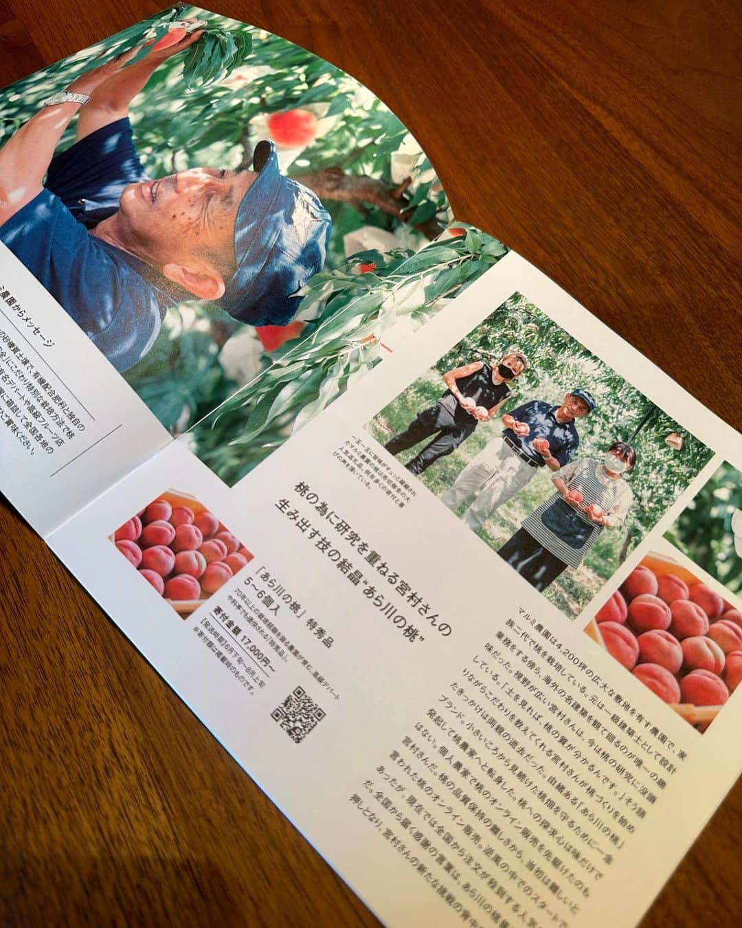 大桃美代子さんのインスタグラム写真 - (大桃美代子Instagram)「桃の季節です。  素敵な桃が紀ノ川市から届きました。  ふるさと納税でフルーツが選べる紀ノ川市。  三月に  紀ノ川はっさくマルシェ　with CoCo JAPANで、ふるさと納税で八朔を頂きましたが、  @cocojapan.project   夏は桃もあるんです。  嬉しすぎる。  ふるさと納税は、自分で税金を納める場所が選べて、  地域を応援できるシステムです。  ご縁のある場所や、好きな人がいる場所を  応援できます。  秋は、柿もありますよ。  ふるさと納税、おすすめです。  紀の川市企画部地域創生課の皆様。  ありがとうございました。  #紀の川市#紀の川の桃#桃#ふるさと納税#人気#桃パフェ#地域創生#SDGs#蟠桃会」7月26日 15時36分 - miyoko_omomo