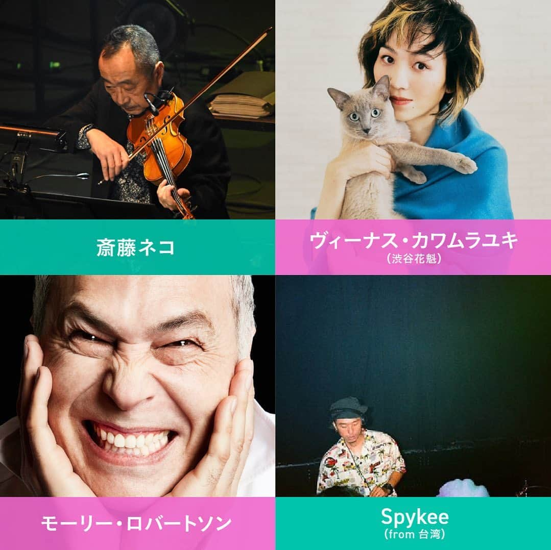 川村由紀のインスタグラム：「長野県松本市で9月23〜24日に開催 #りんご音楽祭 2023に #斎藤ネコ さんのバイオリンと即興DJセッションで出演致します🍎久々に #モーリーロバートソン さんも一緒で嬉し✨  I will be performing at Apple Music Festival 2023 in Matsumoto, Nagano, with Neko Saito's violin and an impromptu DJ session!🎻23-24th Sep 2023  #improvisation #djsession #カワムラユキ #yukikawamura #アルプス公園 #matsumotocity  ちなみに…りんご音楽祭のWebに斎藤ネコさんと一緒の時限定のアー写で出してます🐈猫の名前はサーカス君  #スコティッシュフォールド 🐱#nyanstagram #necostagram #catsofinstagram #catstagram #scottishfold #猫のいる暮らし #猫 #猫スタグラム」