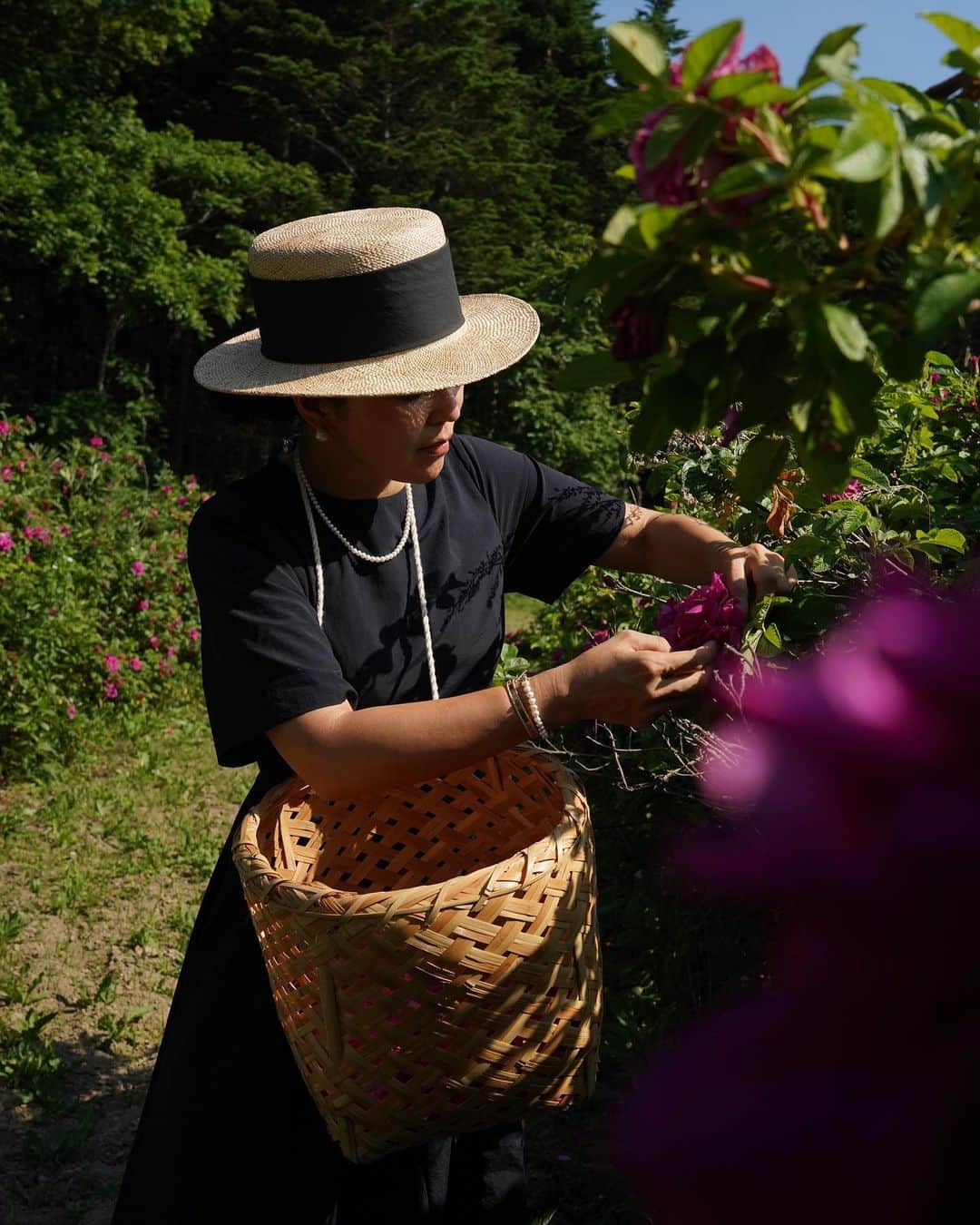 鈴木六夏さんのインスタグラム写真 - (鈴木六夏Instagram)「今夜21:00  @6hana_beauty 8月分販売開始です！  先日の浦幌町訪問では、私もハマナスの花摘みを体験させていただきました。 薔薇なのでトゲもあるし 自然農法なので虫たちもいる。 雑草さえも、必要以上に除去せず 手で間引いていく程度だそうで ここでも「オーガニック」という真の意味を勉強させて頂きました！  そして何よりも 私たちの大先輩である、70代80代のお母さんたちが、元気に明るく 花摘みが大好きなのよ！と言いながら チャッチャチャッチャ作業を進めていく姿が何よりも美しくたくましく、 感動しました！  6hanaのベースは “水”ではなく このハマナスのお花を蒸留した “ハマナス花水”です。とても贅沢な 大自然のパワーがつまっています。  今回は２本セットで、健一自然農園さんのお茶がついてきます✨✨✨ もちろん単品販売も行いますので ぜひともご利用くださいませ！」7月26日 15時59分 - rikuka.62