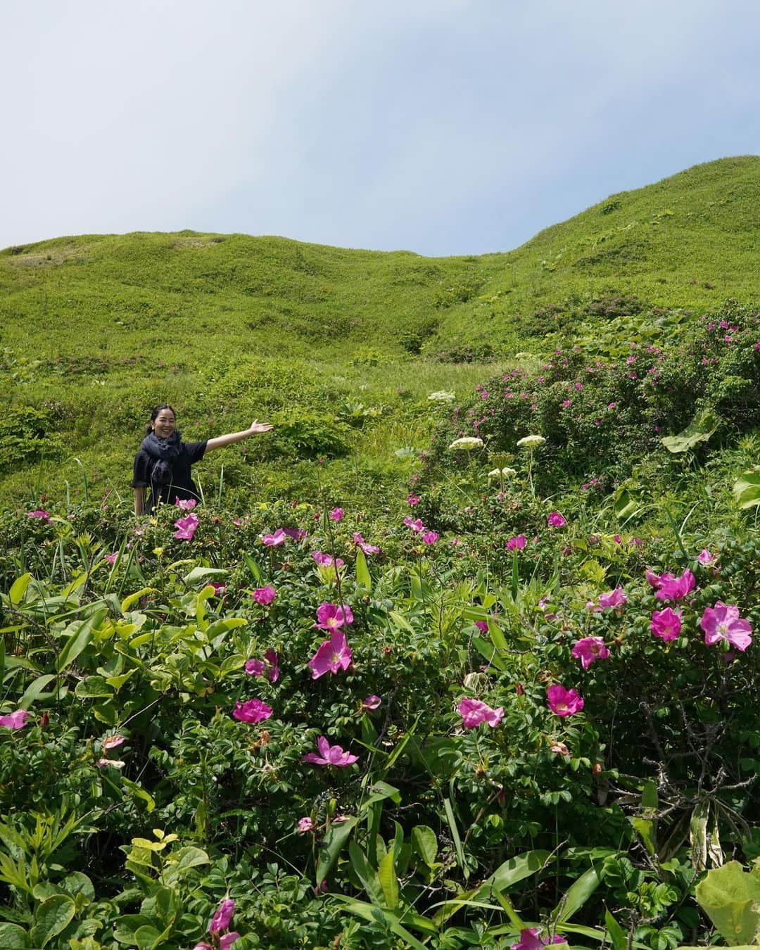 鈴木六夏さんのインスタグラム写真 - (鈴木六夏Instagram)「北海道、浦幌町のハマナスは  人の手が加えられていない海辺の断崖に  自生的に咲いている場所があります。 (ここは花摘み禁止)  北海道の寒さにも負けず、 人があれやこれやと手をかけずとも 毎年、自分たちでしっかりと花を開いて咲き誇る、美しくたくましく、力強い植物です！  @6hana_beauty のまさに目指す姿。 自分のサイクルを取り戻し 環境ストレスに負けず、 自らの力で綺麗になる肌力を取り戻していく。  肌にとって過酷すぎる夏にこそ！ 6hanaと共に過ごしてください♡」7月26日 16時18分 - rikuka.62