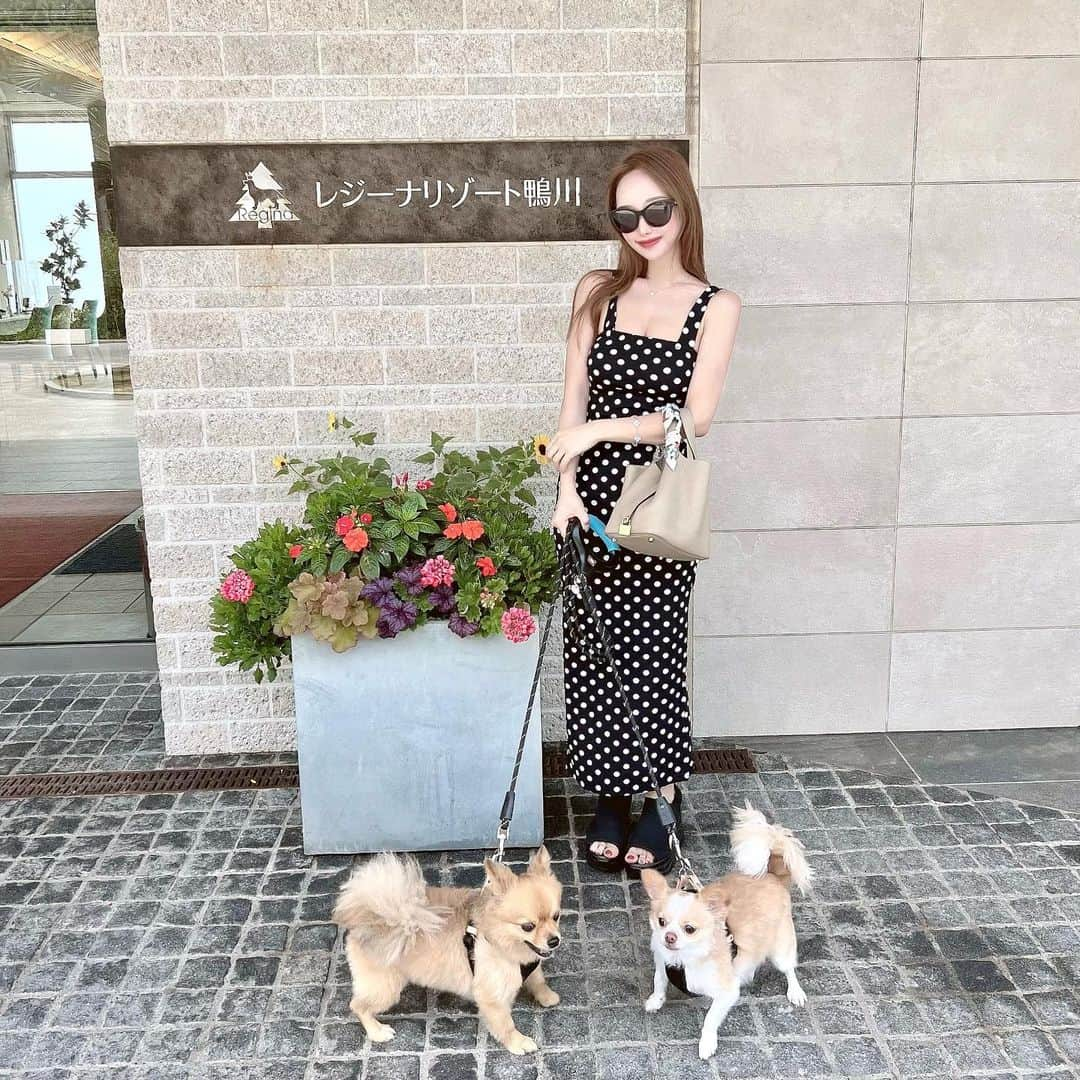 加瀬愛莉のインスタグラム：「楽しかった🏝️🐾  ・ #レジーナリゾート鴨川 #愛犬と泊まれる宿 #犬のいる暮らし #ポメチワ #チワワ #レジーナリゾート #dogstagram #ootd #outfit #kamogawa #doginstagram」