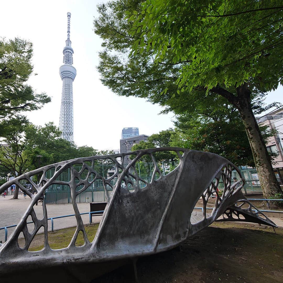 墨田区さんのインスタグラム写真 - (墨田区Instagram)「東京スカイツリーの葉っぱ！？業平公園🌿🗼  墨田区の業平公園に大きな大きな東京スカイツリーの「葉っぱ」🍃✨  「もし東京スカイツリーに葉っぱがあったら」というユニークなテーマの元に制作されたこのもの。リアルな葉脈の表現がなんとも芸術的。  ここで遊びながら、子どもたちも自然と都市の共存や、アートの面白さに触れることができるでしょう。🎨👧👦 皆さんもぜひ、この奇想天外なアートを体験しに来てみてくださいね👀  撮影者：#すみだカメラ部１０選　@tetsushin634   #墨田区 #すみだ #sumida #東京 #tokyo #わたしのすみだ自慢 #これもすみだのシティプロモーション #GTS観光アートプロジェクト #東京藝術大学 #は・は・は #業平公園 #都市アート #遊具アート #东京晴空塔 #도쿄스카이트리 #tokyoskytree」7月26日 17時00分 - sumida_official