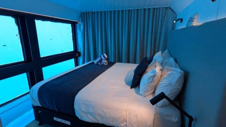 シャーニ・ヴィンソンのインスタグラム：「Checking into 40!! 🐠   #reefworld #sweetdreams #underwatersuite #happybirthday #mermaid #cruisewhitsundays #oceanlife #underwater #gopro #birthday #ocean #dream #bucketlist #roomwithaview #living #travel #adventure #explore #greatbarrierreef #whitsundays #islandlife #thisis40 #lifebeginsat40 #letsgo」