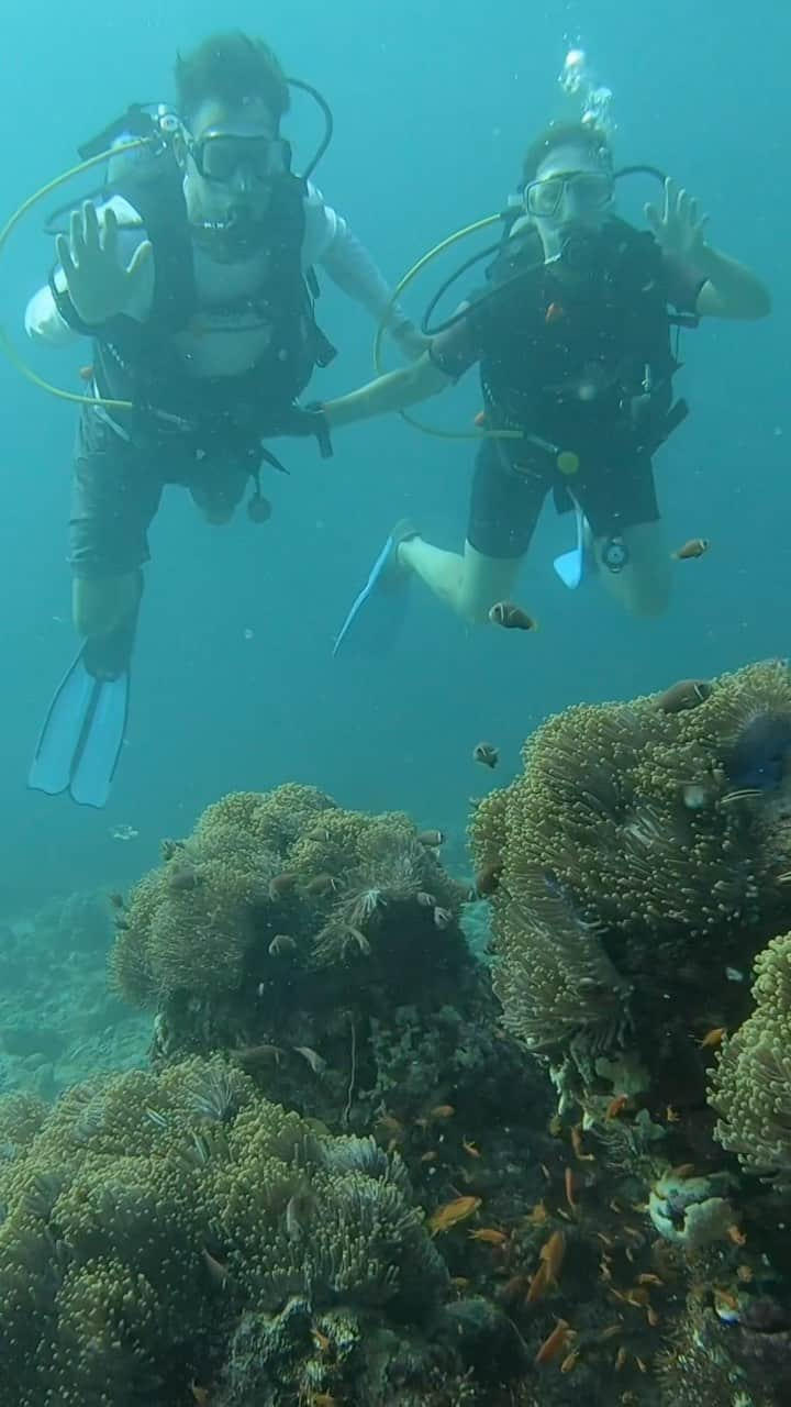 ブライアン兄弟のインスタグラム：「First scuba dive ✅. Thank you, @discoversoneva! 🙏 #bucketlist #sonevafushi . . . . . .  #familyadventures #familytravel #familytime #family #travelwithkids #familyfun #travel #adventure #travelfamily #familytravels #familytrip #familyadventure #wanderlust #familyfirst #nature #travelingwithkids #roadtrip #travelblogger #familyvacation #travelgram #explore #getoutside #travelkids #travelphotography #makingmemories #kidstravel #travellingwithkids #instatravel」