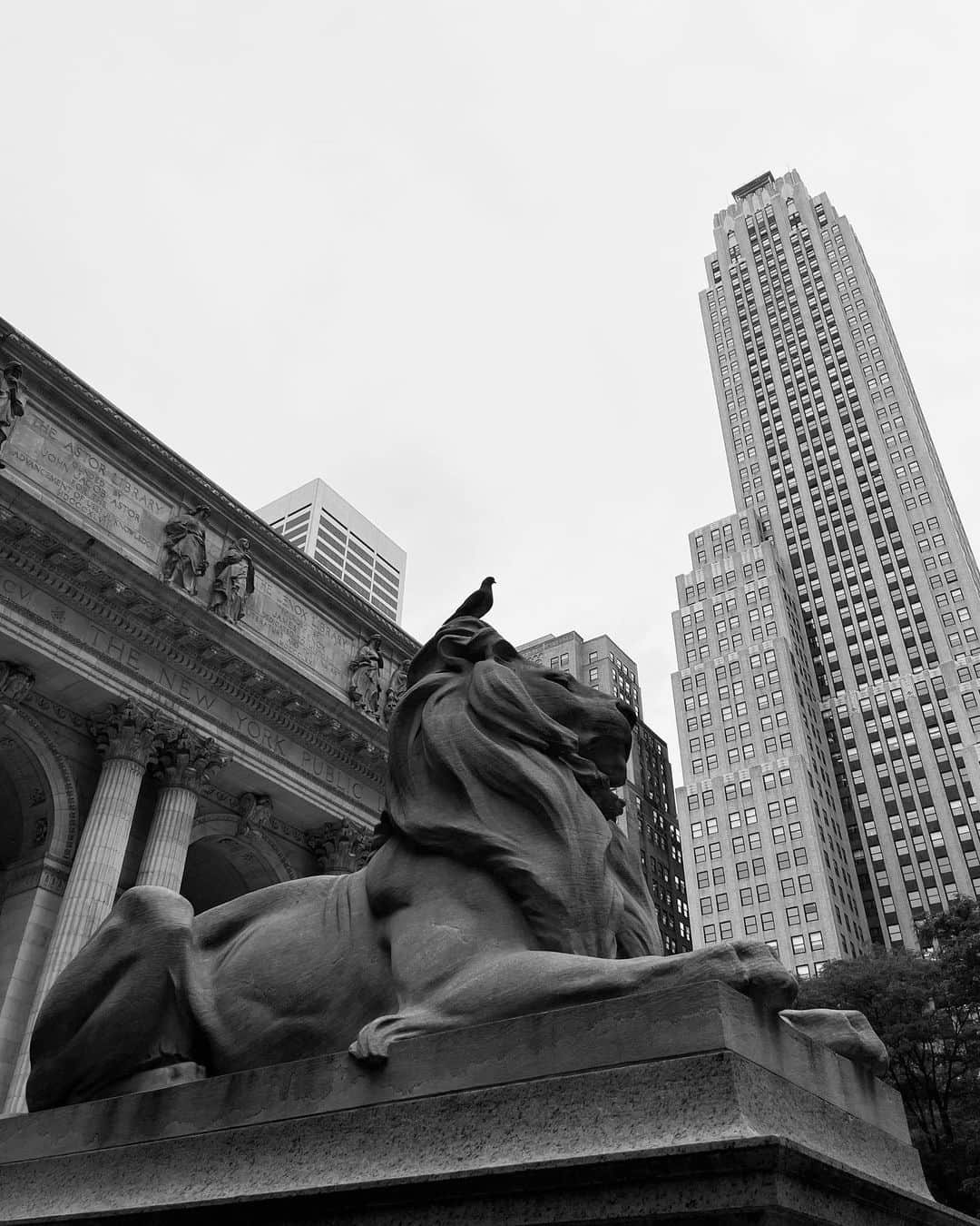 尚玄のインスタグラム：「I’m leaving NYC soon. 3 nights flew by way too fast… I will definitely stay longer next time to visit East Village where I used to live and acting school Blacknexxus ( @susanbatsonstudio now), and hopefully watch @brooklynnets game. Until then!」