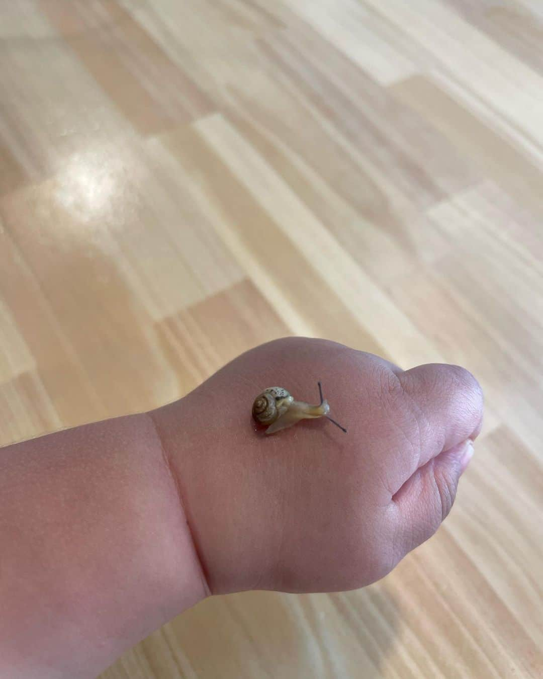 mao mitsuiのインスタグラム：「La and Baby snail chan🐌🌺」