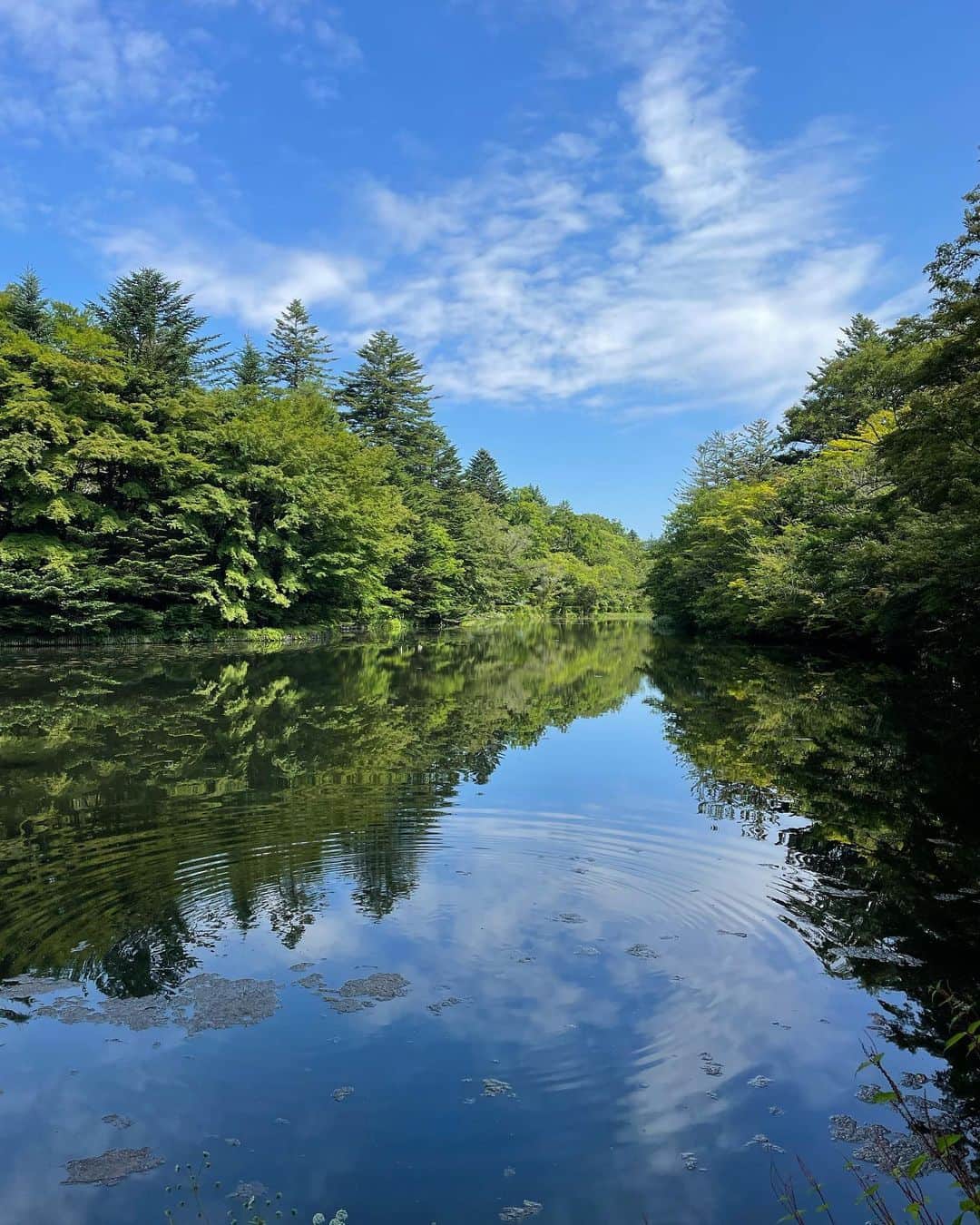 奥山春香さんのインスタグラム写真 - (奥山春香Instagram)「緑の中に住みたい願望がすごい🌲🌲🌲」7月26日 19時47分 - corvetteharuka