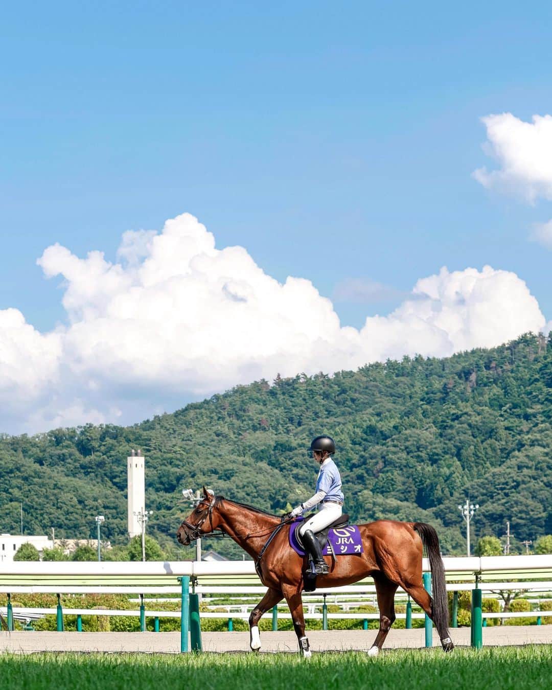 netkeibaのグルメインスタ