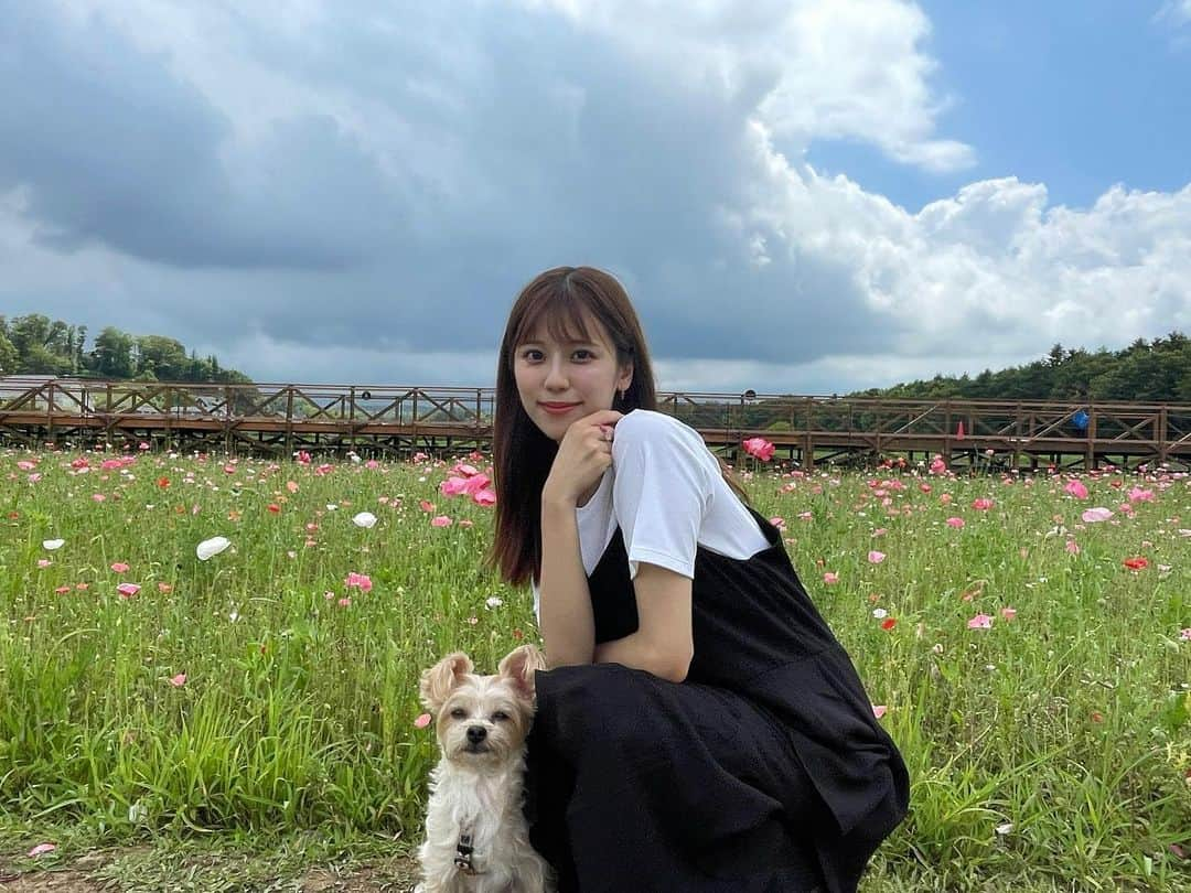 溝口恵さんのインスタグラム写真 - (溝口恵Instagram)「お花畑に行ったんだけど、いつも植え替えのタイミングとか台風通過後とかにあたってしまう💐 写真のお花は確かポピーだったはず？ 今度は満開の時に行きたいな〜 次はひまわりがたくさん咲くらしい🌻  #ひじめぐ #dog #愛犬 #犬」7月26日 20時02分 - mizomegudesu78