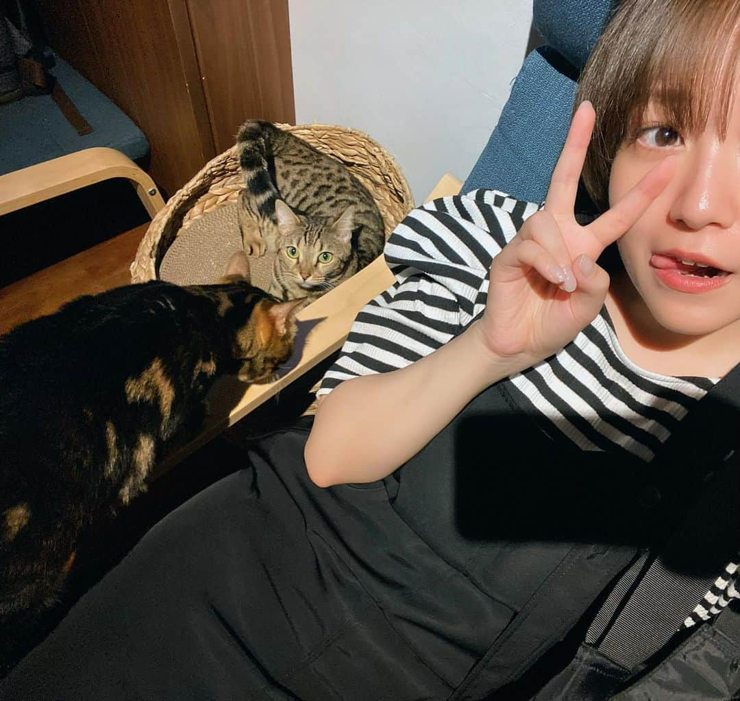 佐藤亜美菜さんのインスタグラム写真 - (佐藤亜美菜Instagram)「. 👧🏻🐈🐈‍⬛  #bff #bengal」7月26日 19時54分 - sato_amina8