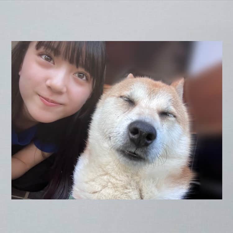 並木彩華のインスタグラム：「とても穏やかな夏休みを過ごしています🐕  あつくて溶けそうな日々が続きますが、どうか皆さんの夏がより良いものになりますように〜   #並木彩華」