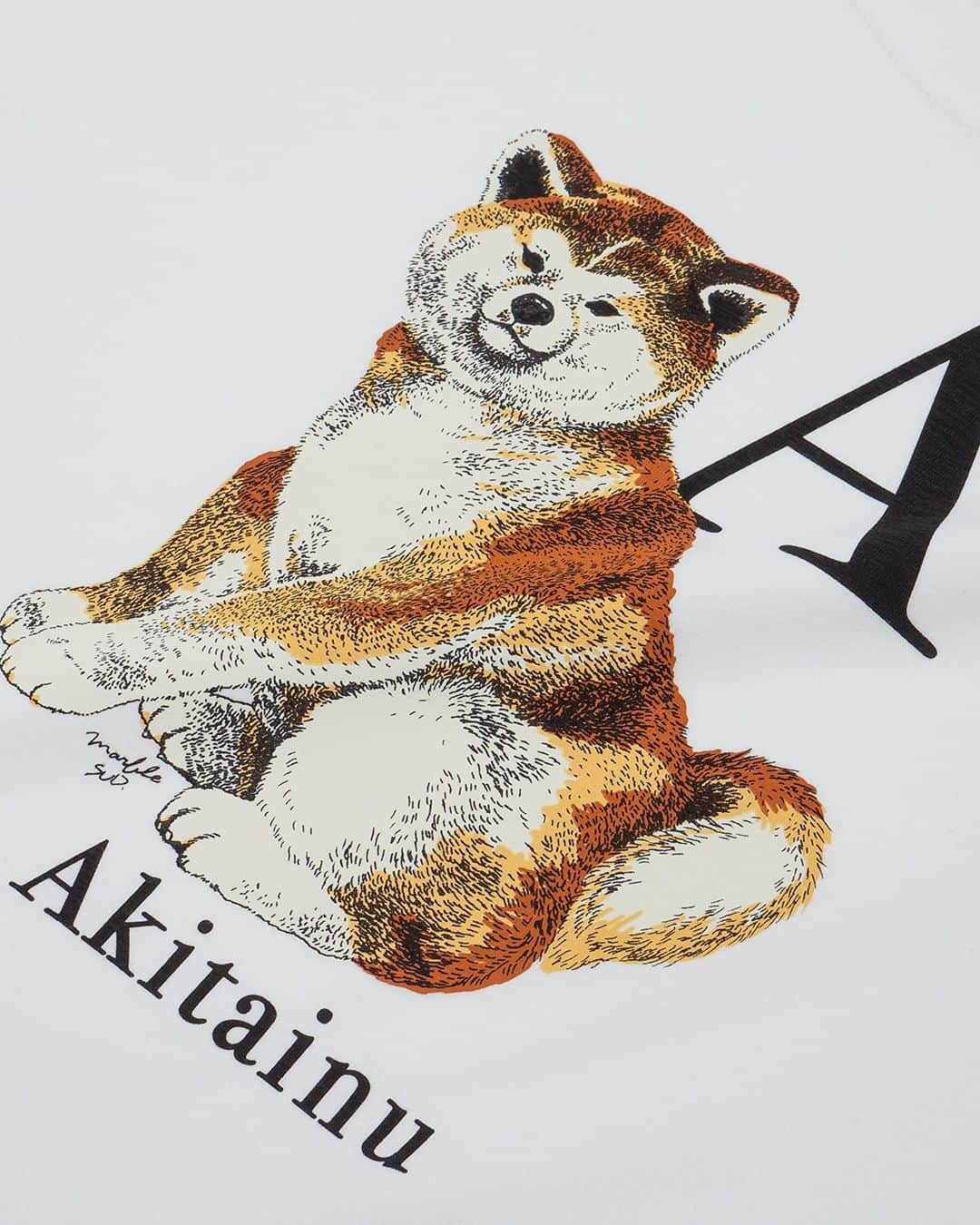 marbleSUD(マーブルシュッド) のインスタグラム：「新作のTシャツシリーズはもうチェックされましたか？ 海外のアルファベット表をイメージして描かれたシリーズはインパクト大！Akitainu BIG TEEは、Akitainuの頭文字「A」と共に、こちらを見つめる秋田犬をリアルなタッチで表現しました。 シンプルながらもレトロな雰囲気が心をくすぐるポイントに🐕💨」