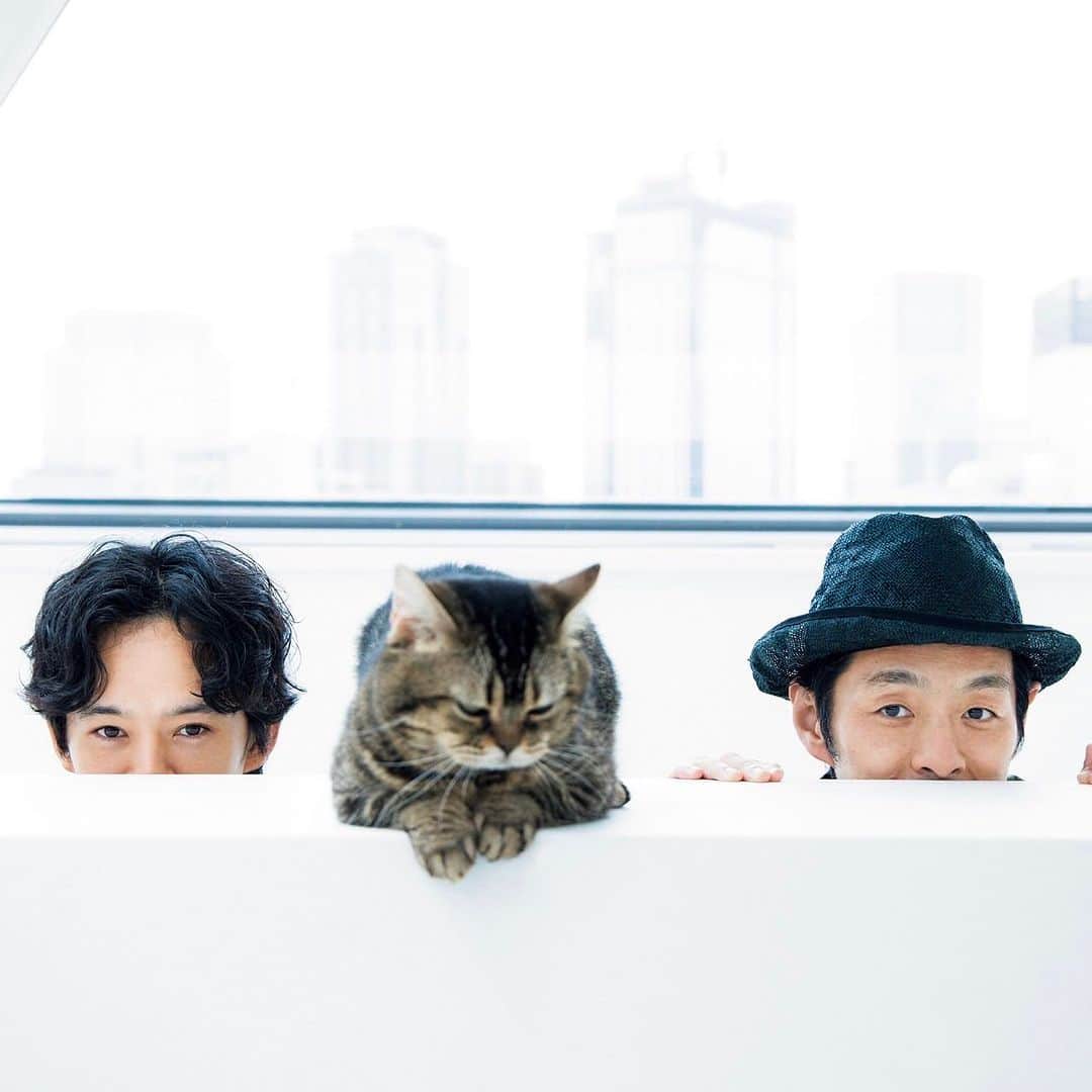 GINGERさんのインスタグラム写真 - (GINGERInstagram)「GINGER9月号に、 宮藤官九郎さんと池松壮亮さんが登場！  ドラマ「季節のない街」で初めてタッグを組んだふたり☺️長い撮影の中でともに暮らし笑い合って作品を作り上げた、制作の日々を共演した猫のトラと一緒に語り合ってもらいました👀✨  #GINGER #GINGERmagazine #ジンジャー #笑ってなんぼ #宮藤官九郎 #池松壮亮 #季節のない街」7月26日 20時28分 - ginger_magazine
