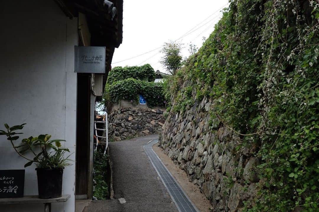 米田有希さんのインスタグラム写真 - (米田有希Instagram)「男木島⛩✨」7月26日 20時26分 - akiyoneda