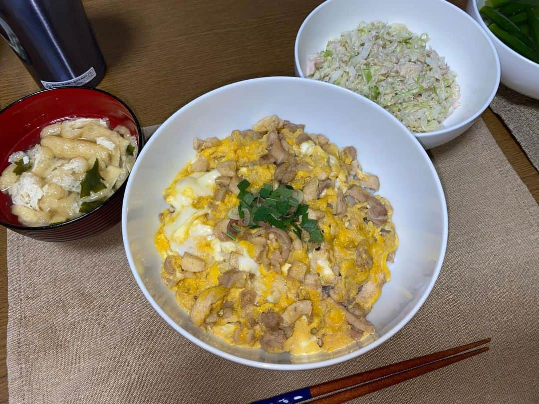 大河壮太のインスタグラム：「夕ご飯  親子丼👨🏻‍🍼 鶏小間180円 卵2つ 酒、みりん、しょうゆ、白だし、砂糖、水 まぁ普通のやつ  コールスロー キャベツ、ツナ、マヨネーズ、ノンオイル胡麻ドレ、ごま はじめて作ったけどめちゃくちゃうまい  味噌汁 ワカメ、油揚げ 味噌汁の安心感  値段ないものは家にあったやつ。  #夫婦飯 #お野菜太郎 #宮城 #移住 #親子丼」