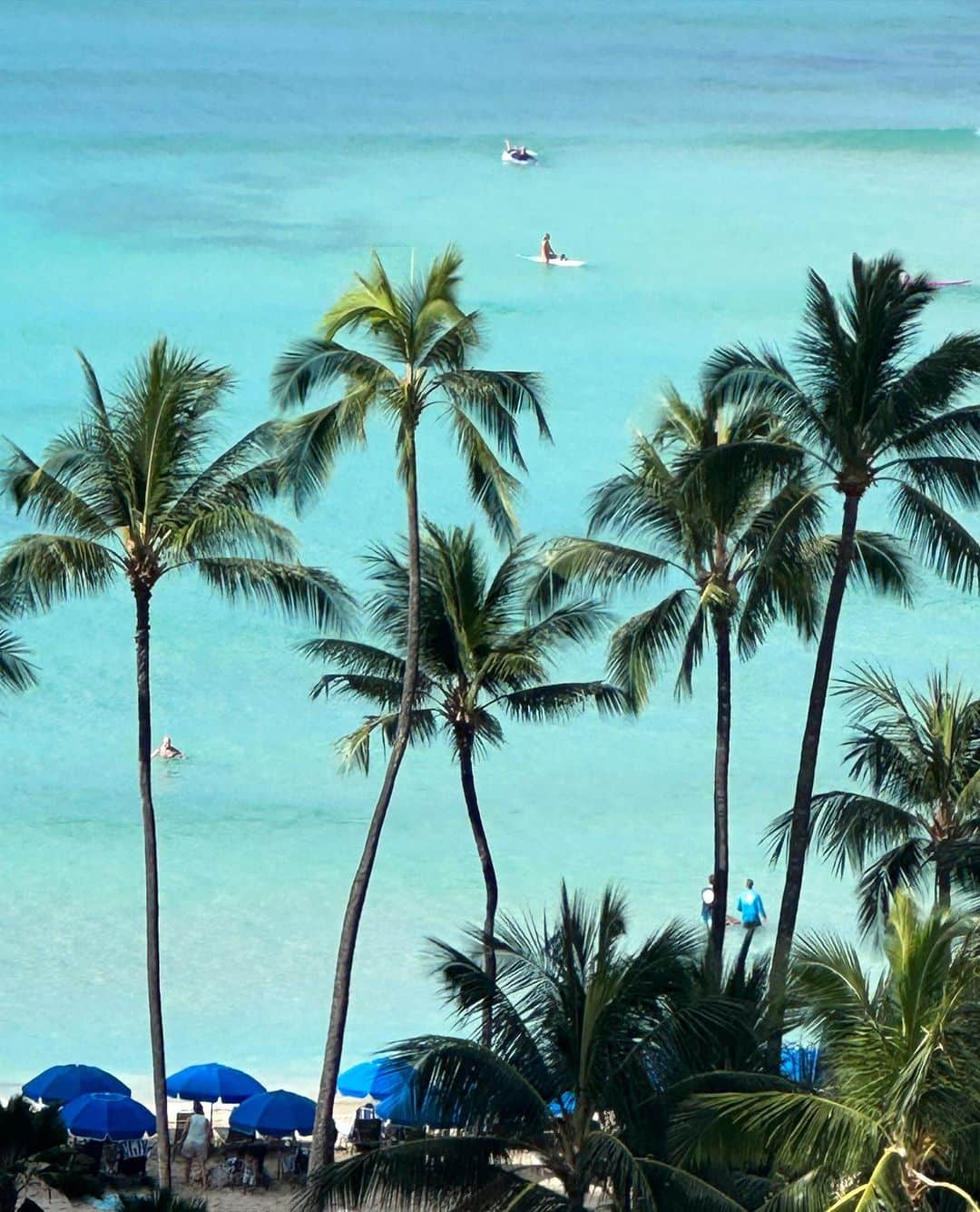 MARISさんのインスタグラム写真 - (MARISInstagram)「I stayed first 3 days at new @waikikibeachcomber by Outrigger 💙 Thank you for having me ‼︎ Amazing view and comfy room🌴 最初の3日は新しくなったOutrigger の Beachcomber にstay 💙  新しくなって綺麗になっててすっごく良かったよ🩵 RoomからはWaikiki一望できるしど真ん中だから最高🩵 朝起きたら窓から小鳥ちゃんが遊びに来てHawaii あるあるな懐かしい光景🌺🌈 The best vacay in Hawaii Thank you 🩵 #waikikibeachcomber  #outrigger #PR #thankyou #aloha #mahalo #Hawaii #ハワイ #ワイキキビーチコマーｂｙアウトリガー」7月26日 20時31分 - marristea