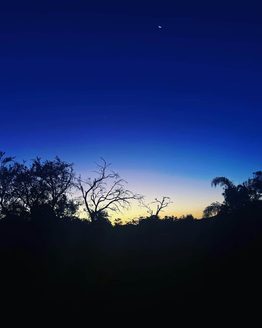 のインスタグラム：「夕暮れ」