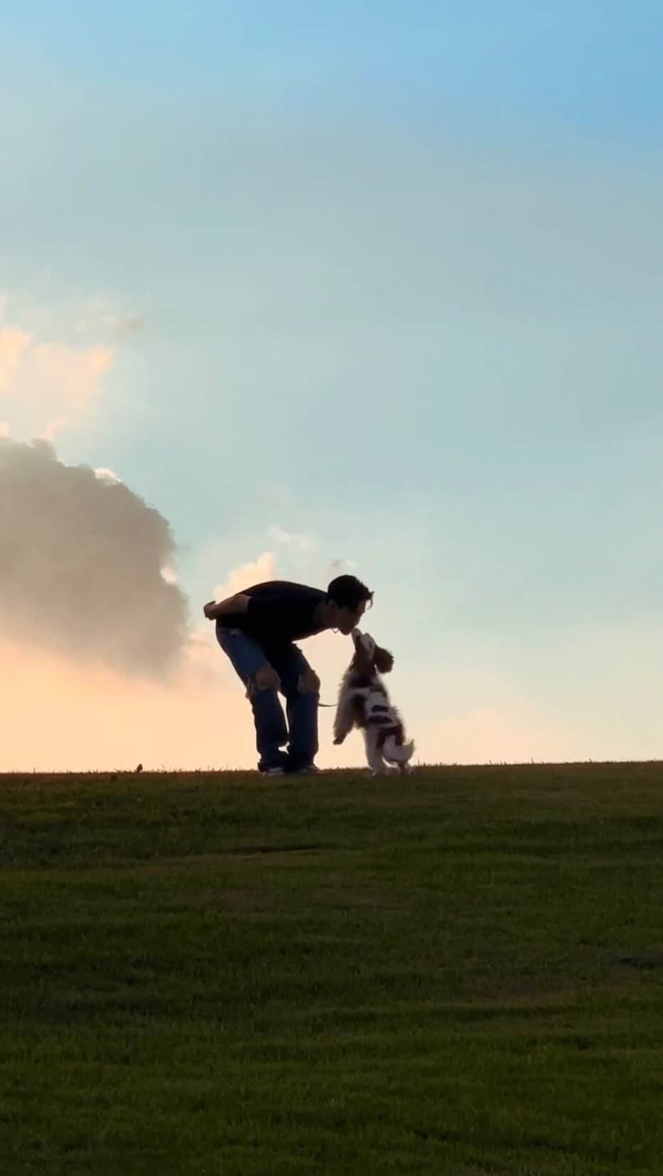 ヘンリーのインスタグラム：「#SummerSky strolls w/ my best bud Charlie 🐶🩵」