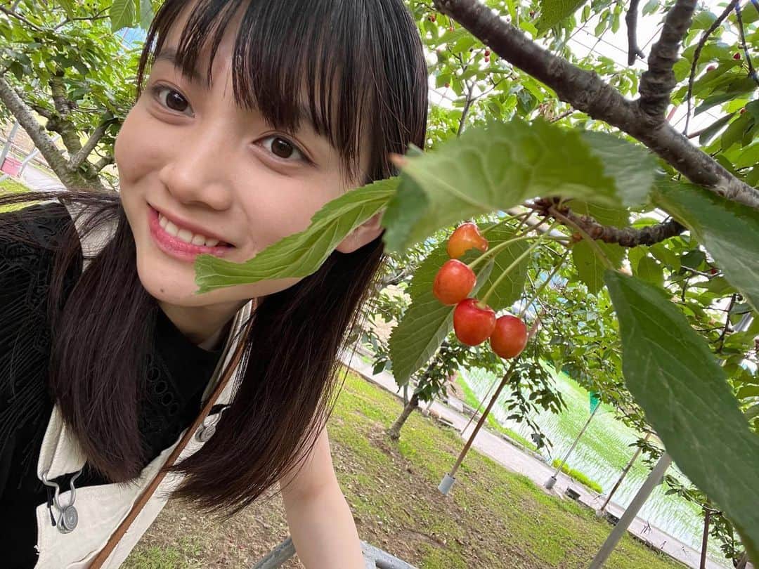 西垣有彩さんのインスタグラム写真 - (西垣有彩Instagram)「さくらんぼをたらふく食べた日🍒  #さくらんぼ#🍒#山梨#さくらんぼ狩り#桃#も食べました#すもも#も食べました#すもももももも、、、#西垣有彩」7月26日 21時04分 - arisa_nishigaki_official